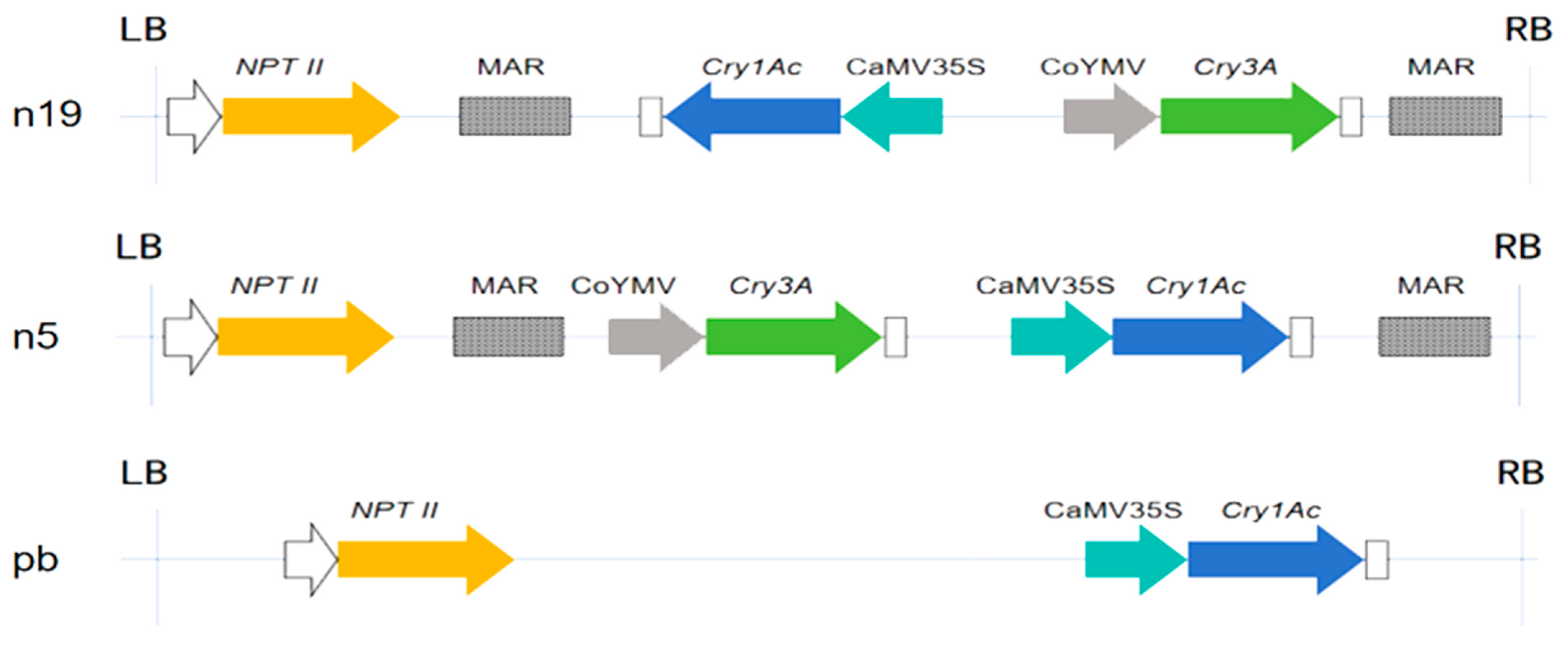 Plants 15 00051 g001