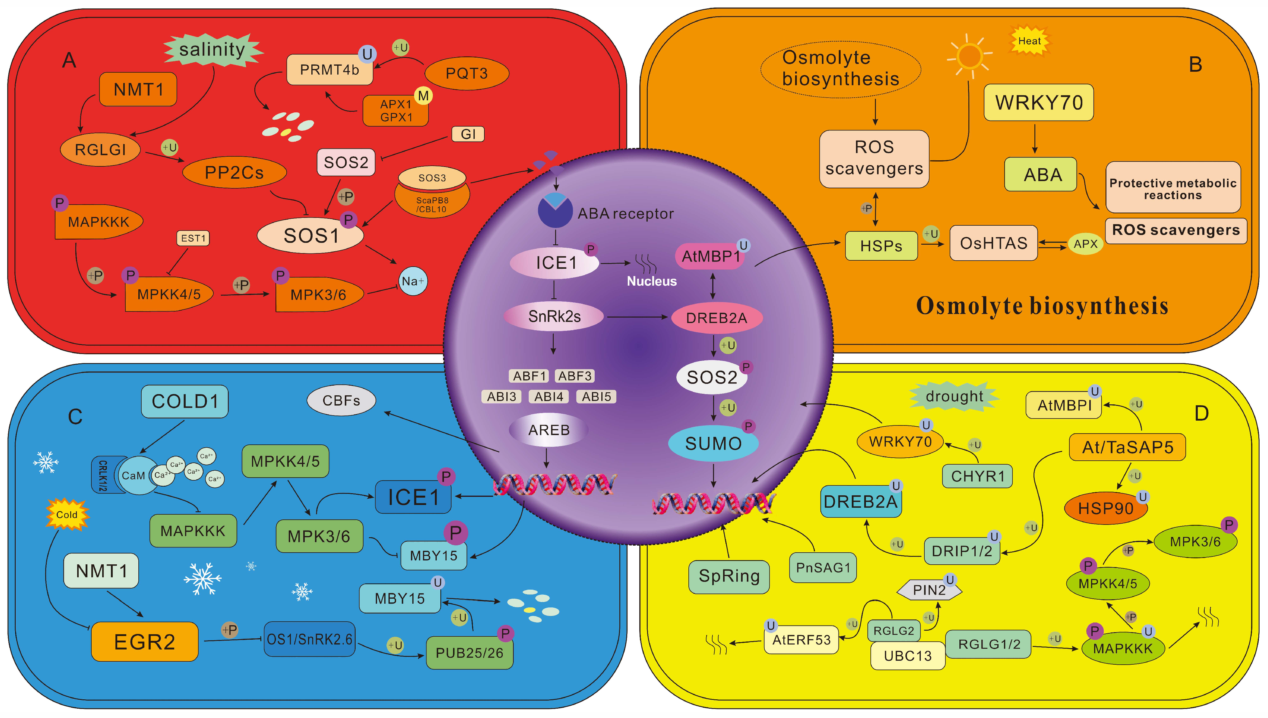 Plants 15 00052 g002 Plants 15 00052 g002