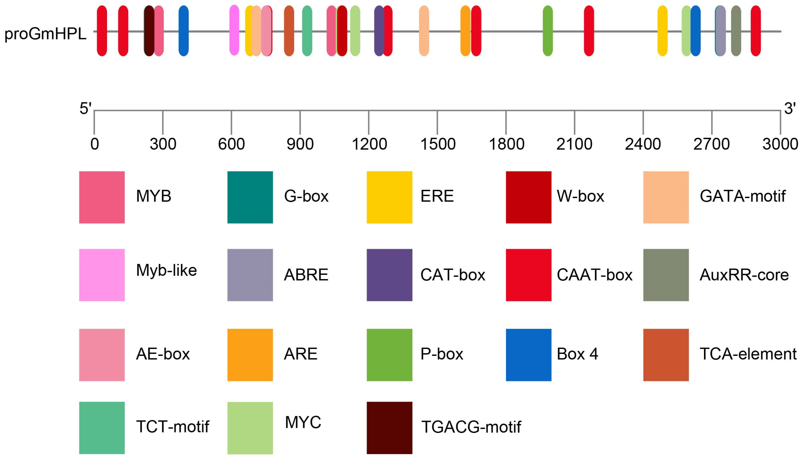 Plants 15 00054 g001