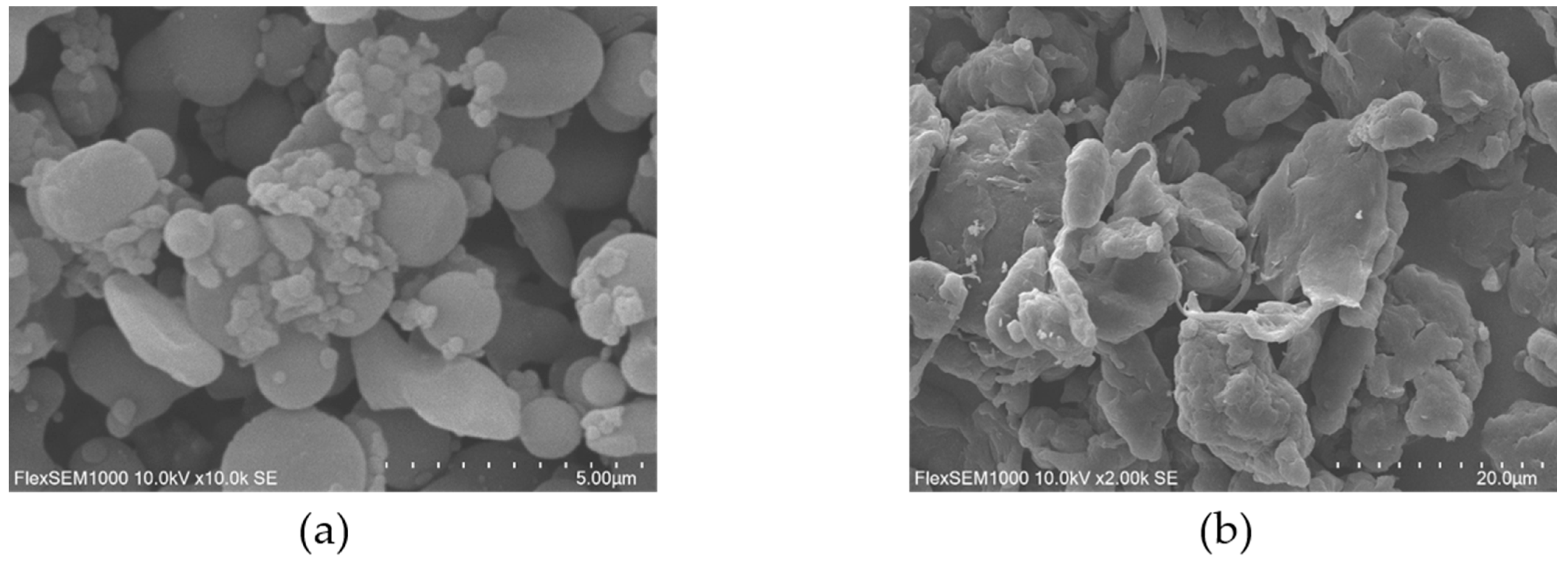 Plants 15 00056 g001