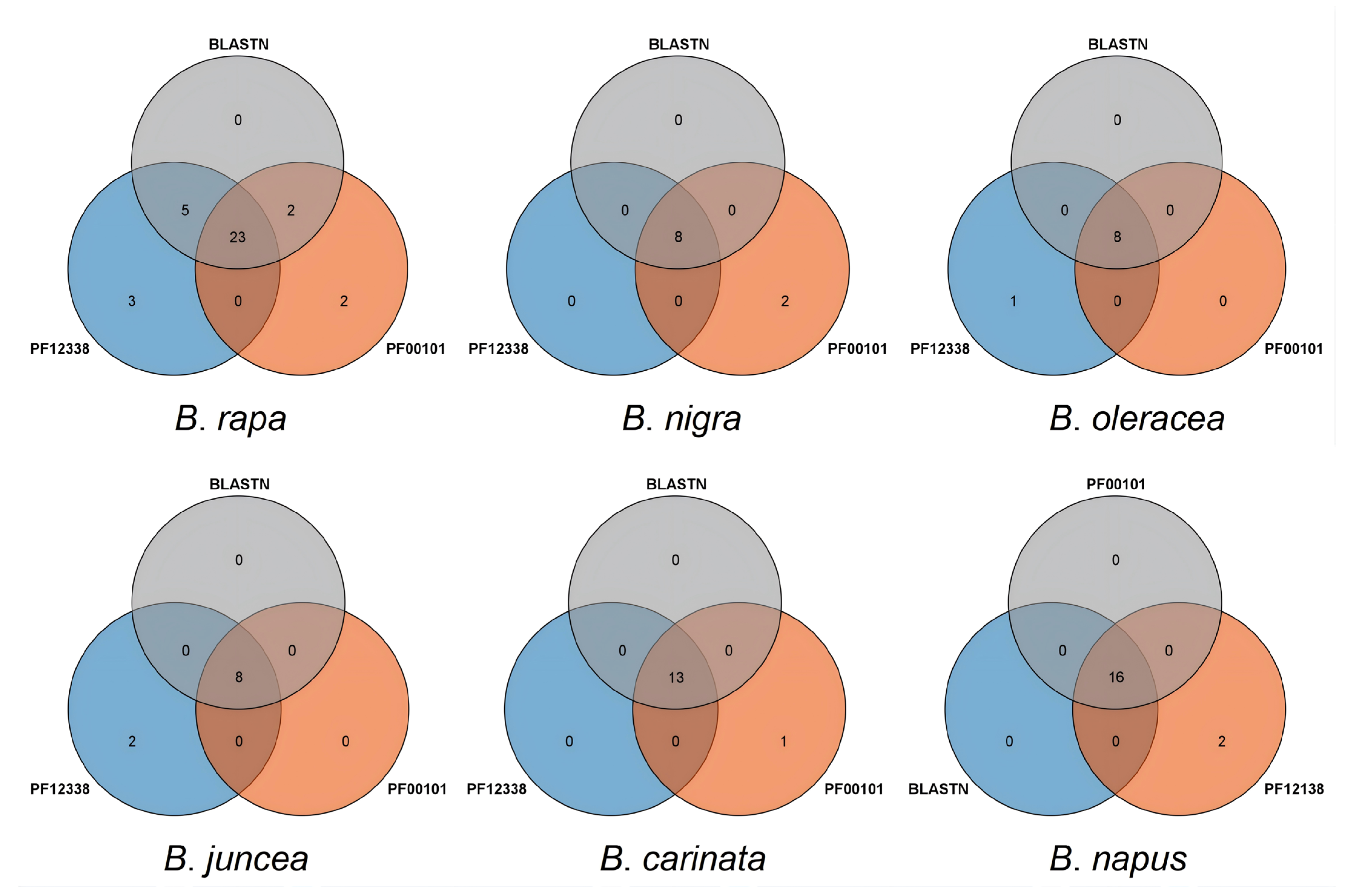 Plants 15 00058 g001