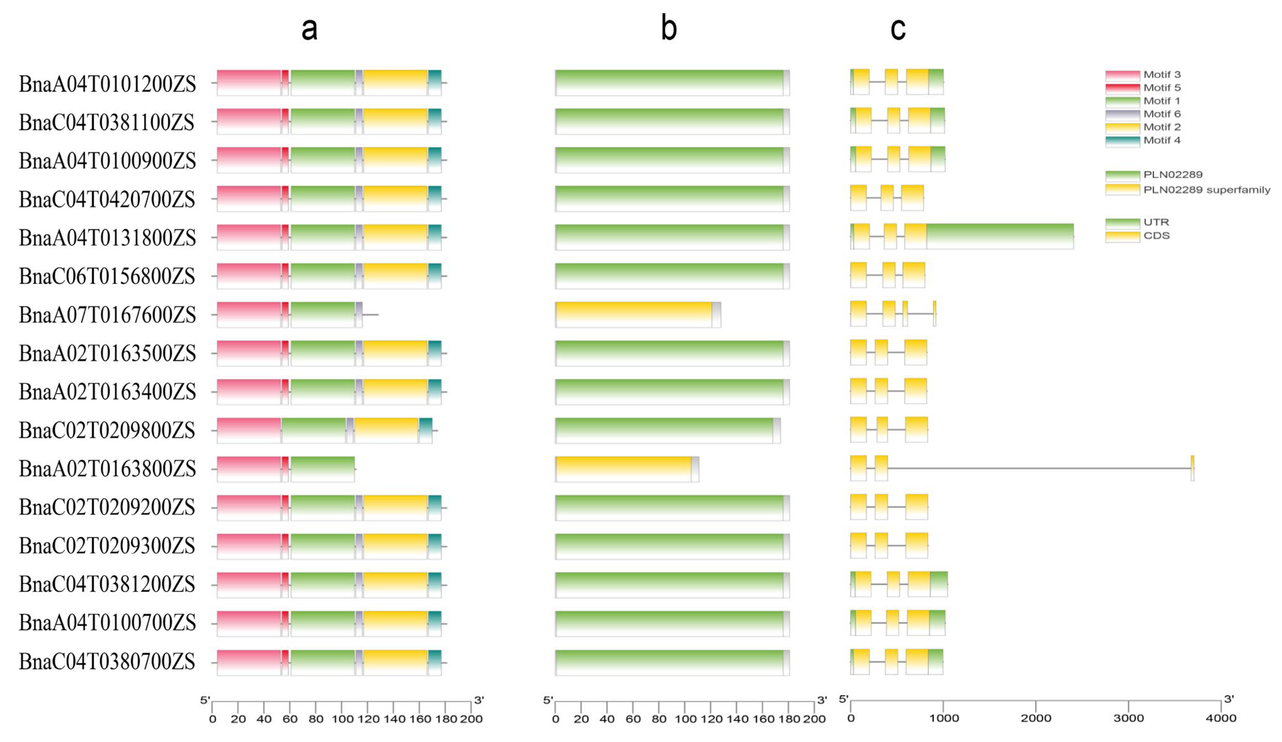 Plants 15 00058 g003