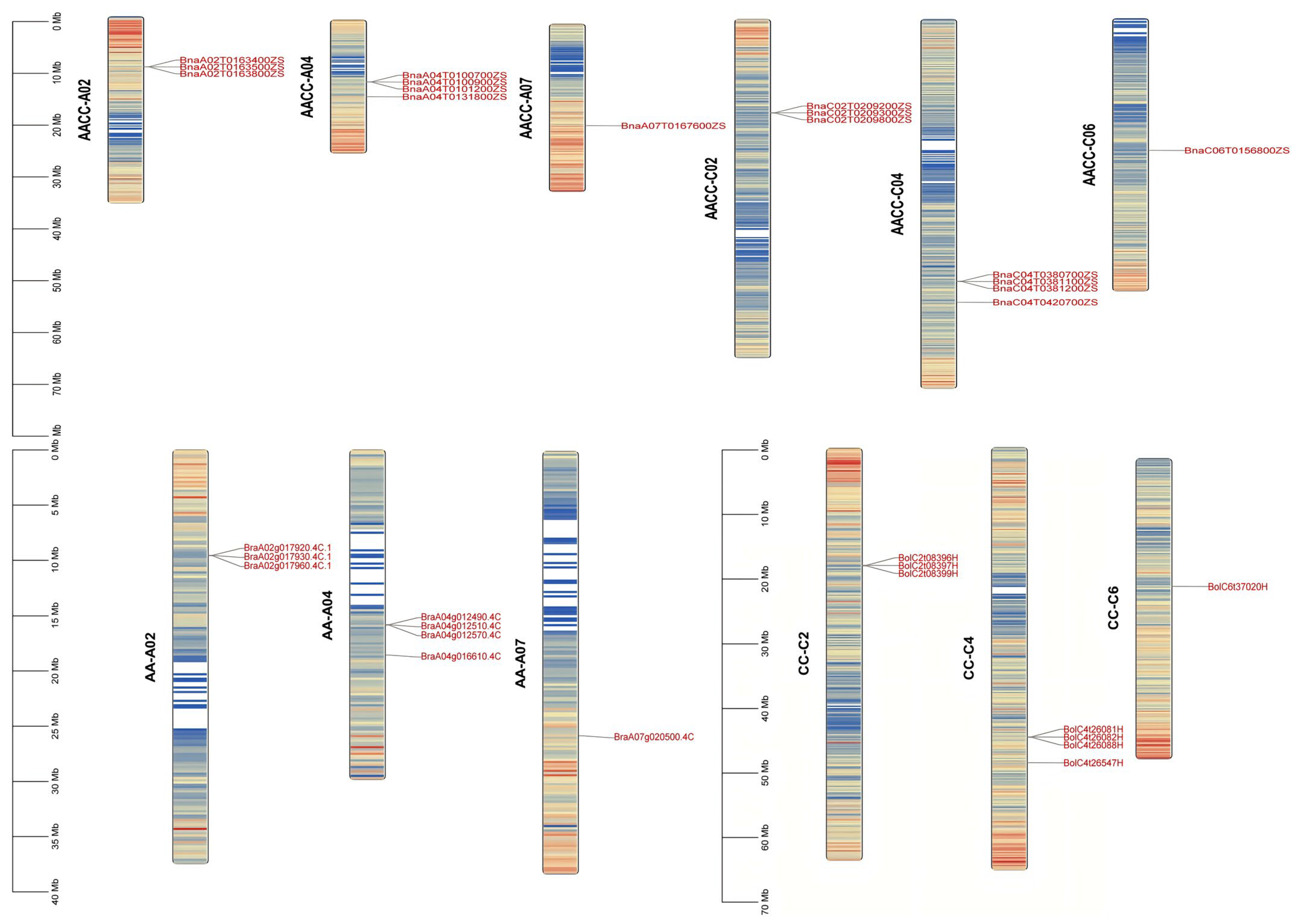 Plants 15 00058 g004