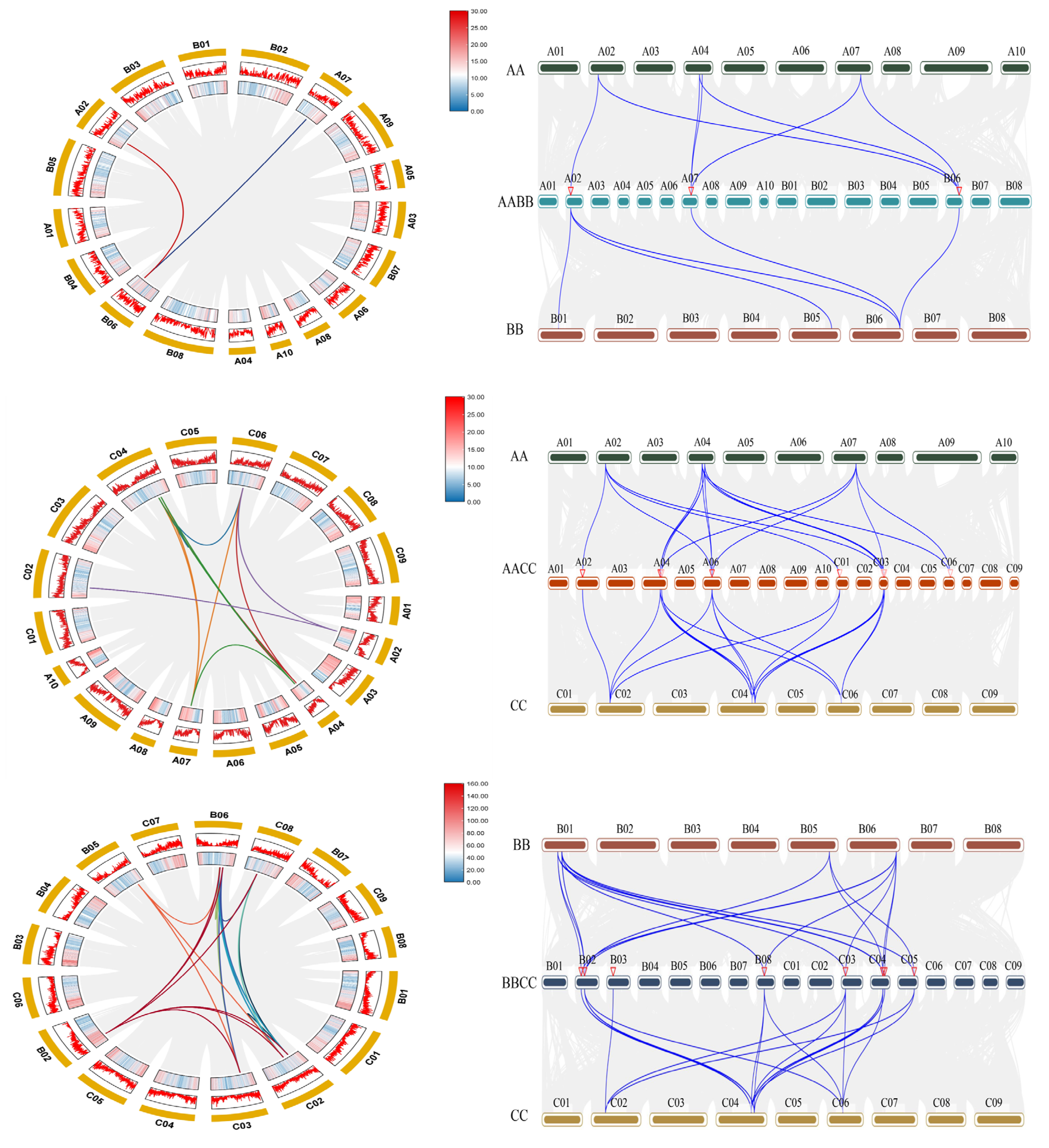 Plants 15 00058 g005