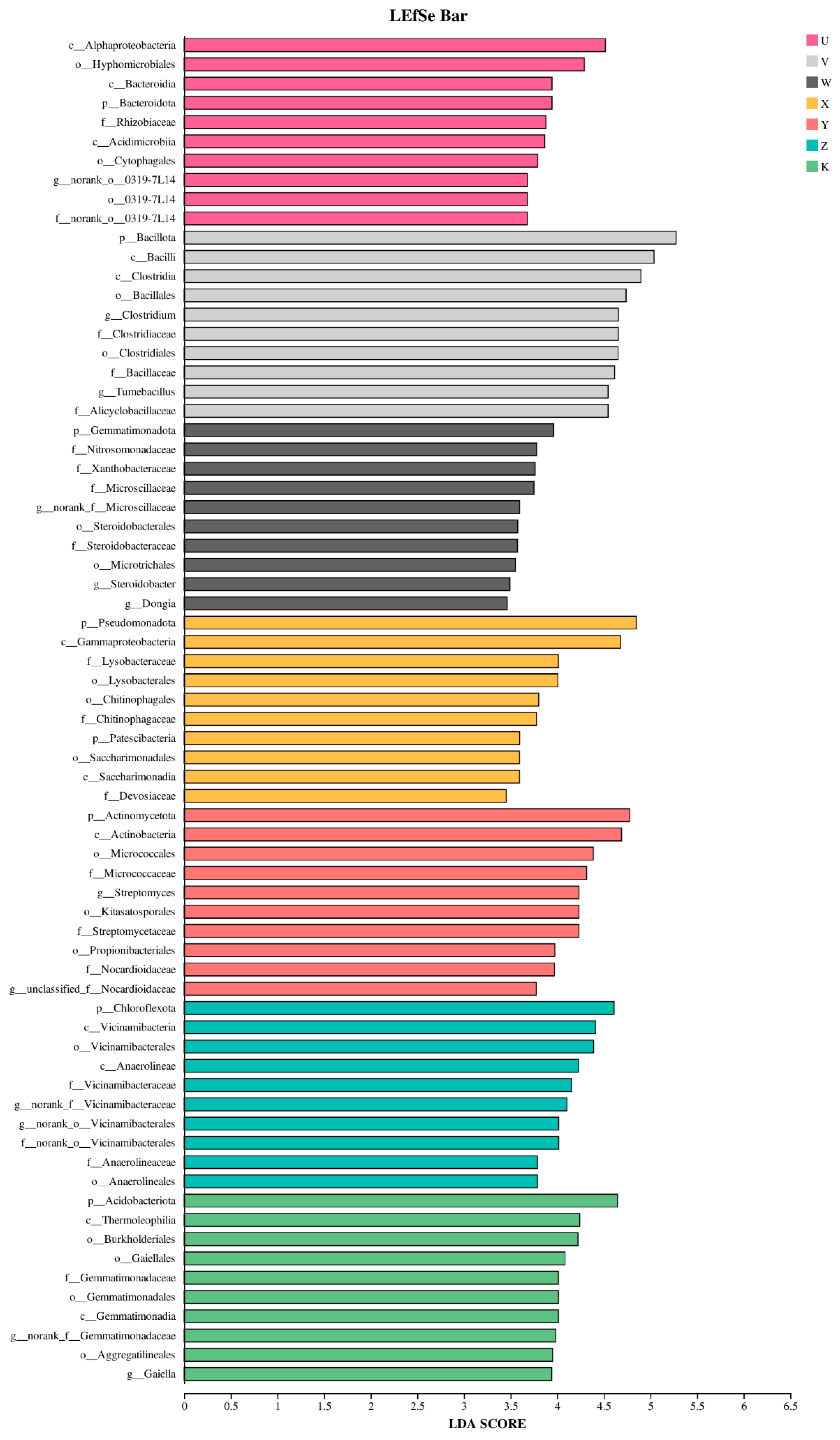 Plants 15 00060 g011