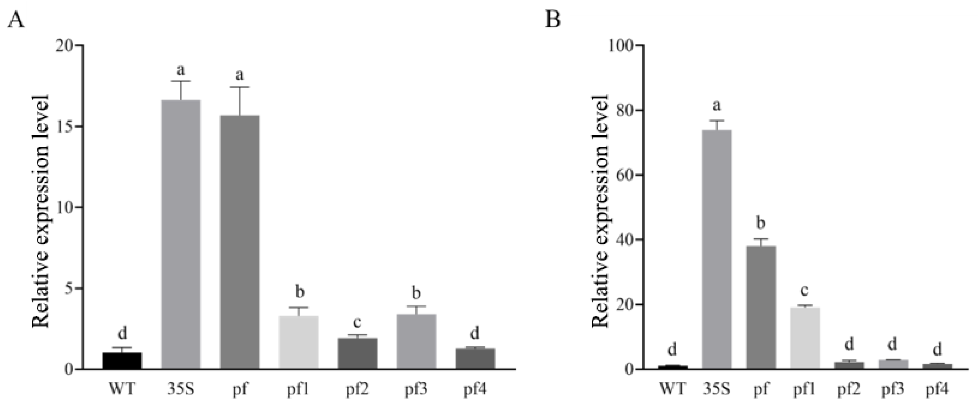 Plants 15 00067 g014