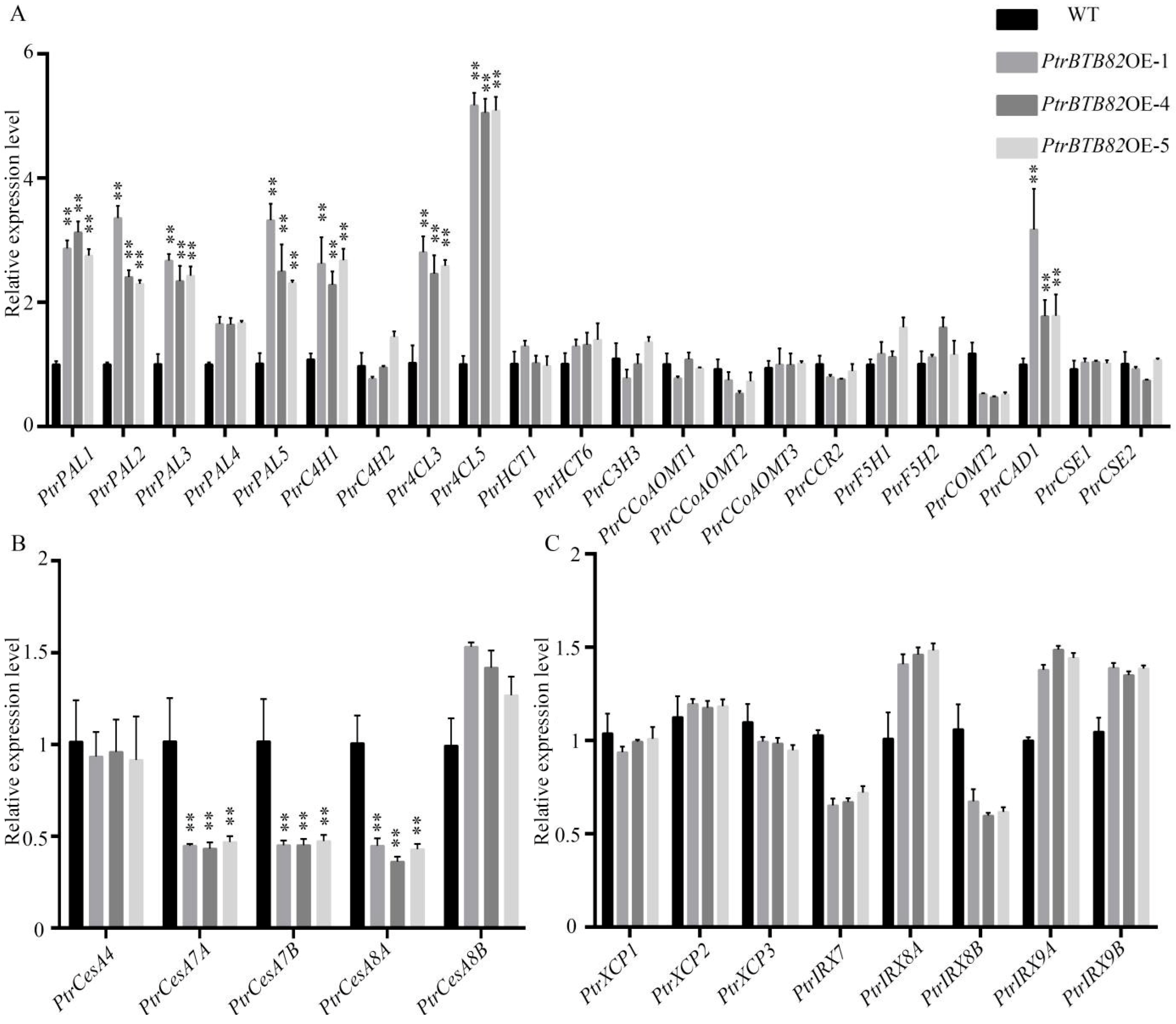 Plants 15 00068 g009