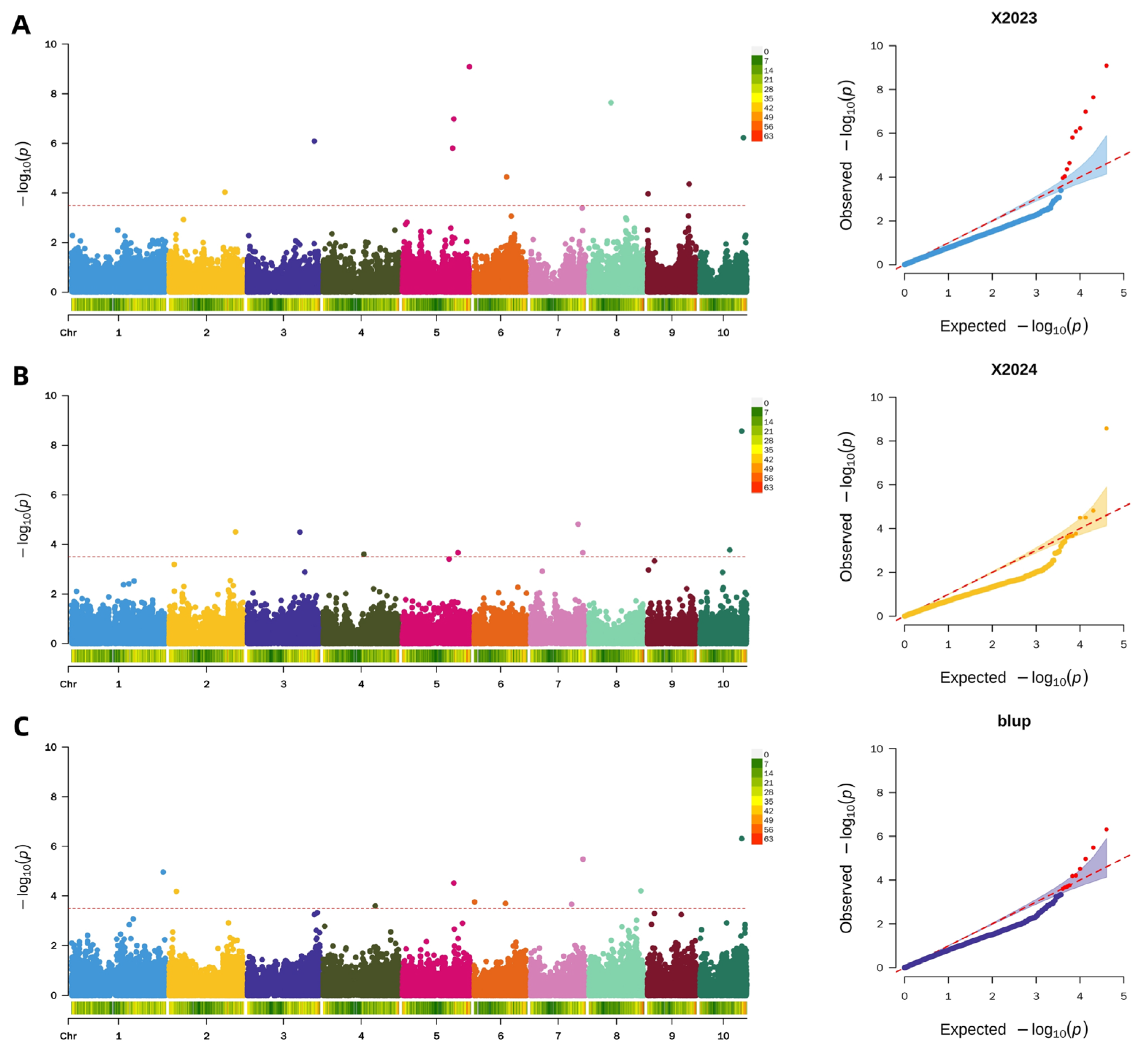 Plants 15 00074 g007 Plants 15 00074 g007