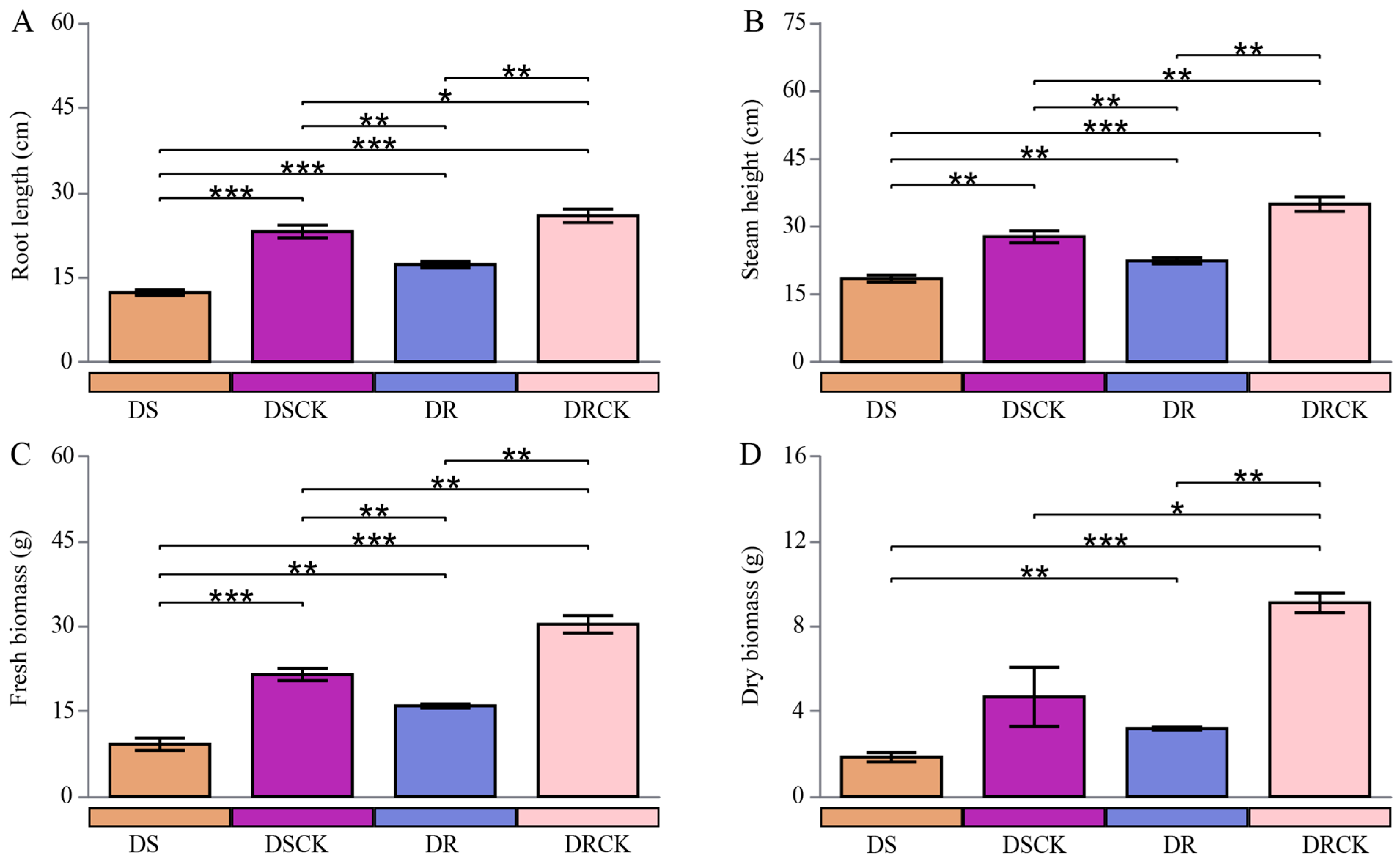 Plants 15 00077 g001 Plants 15 00077 g001