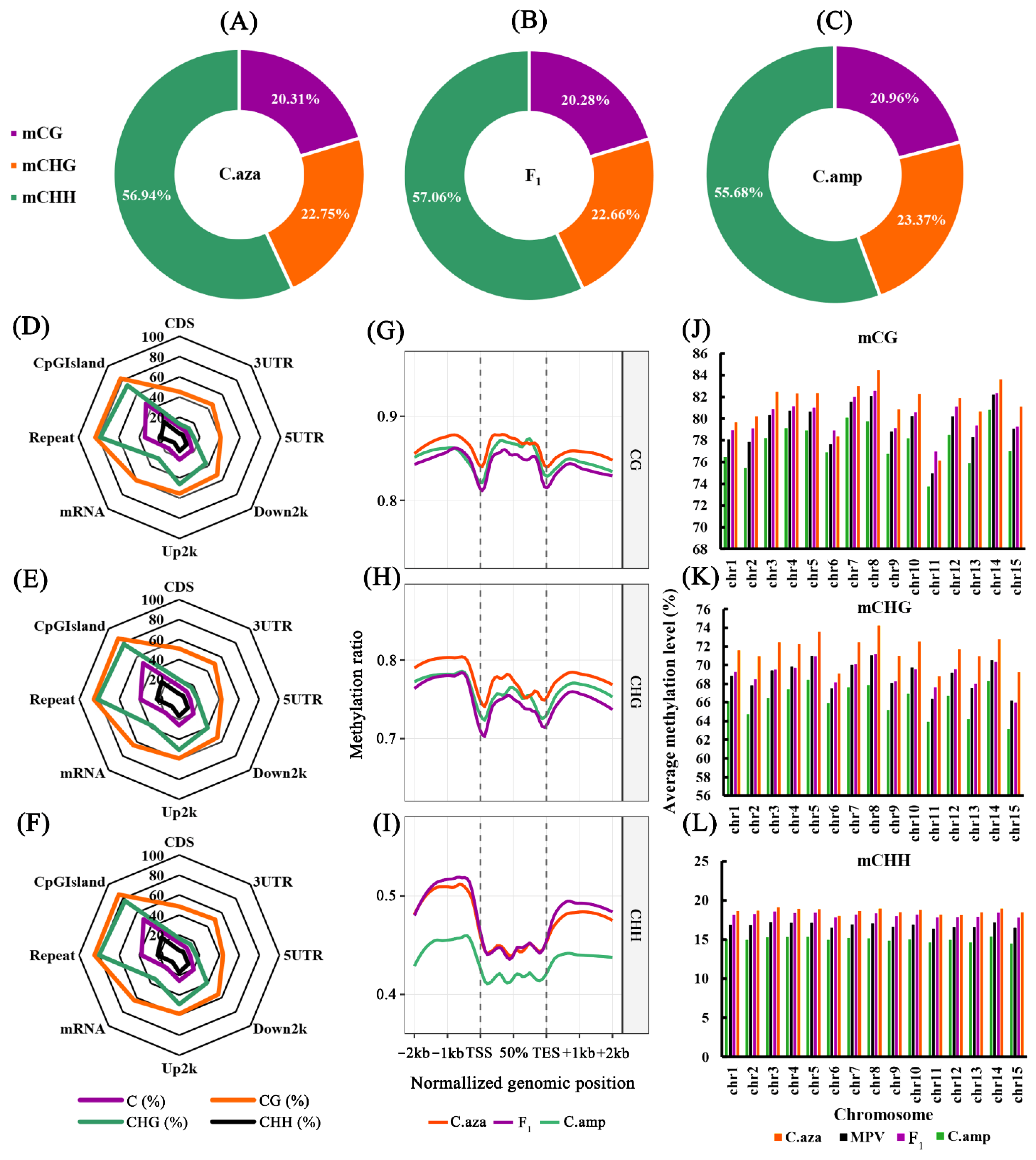 Plants 15 00094 g002