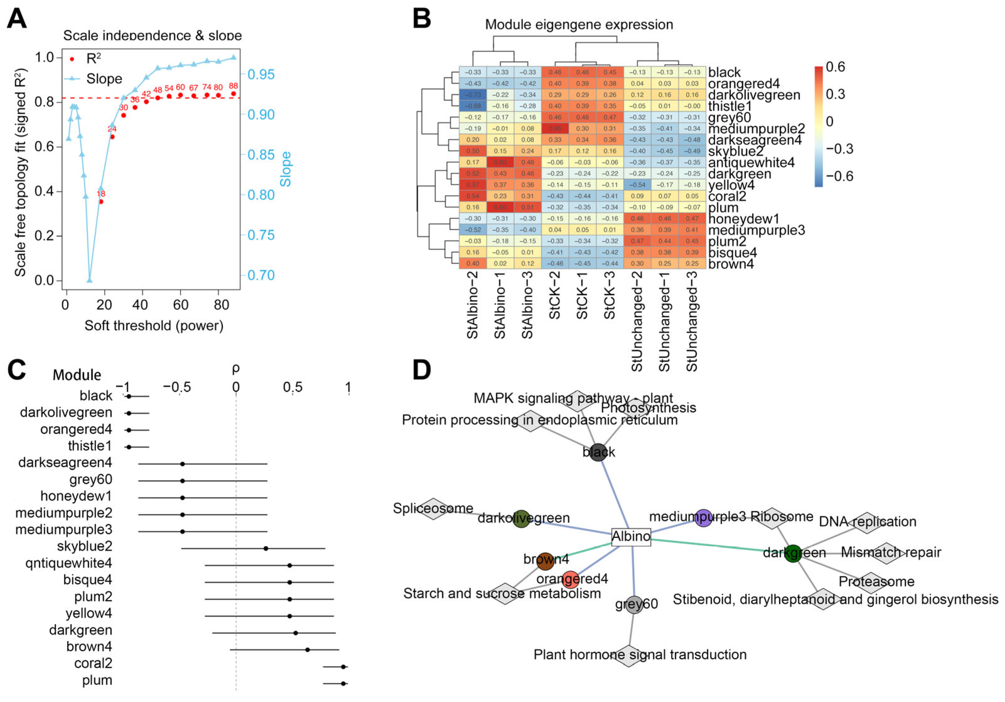 Plants 15 00096 g005