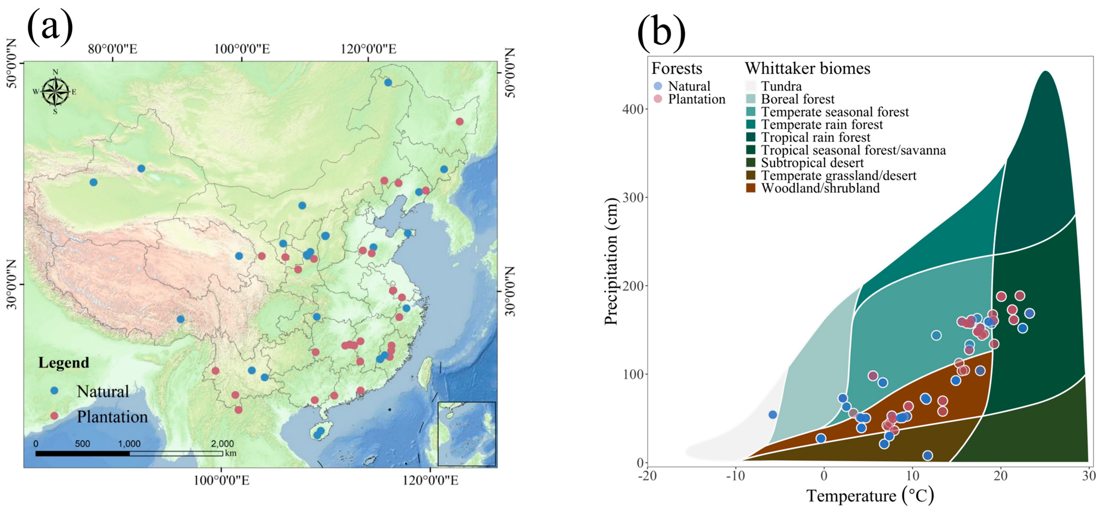 Plants 15 00098 g001