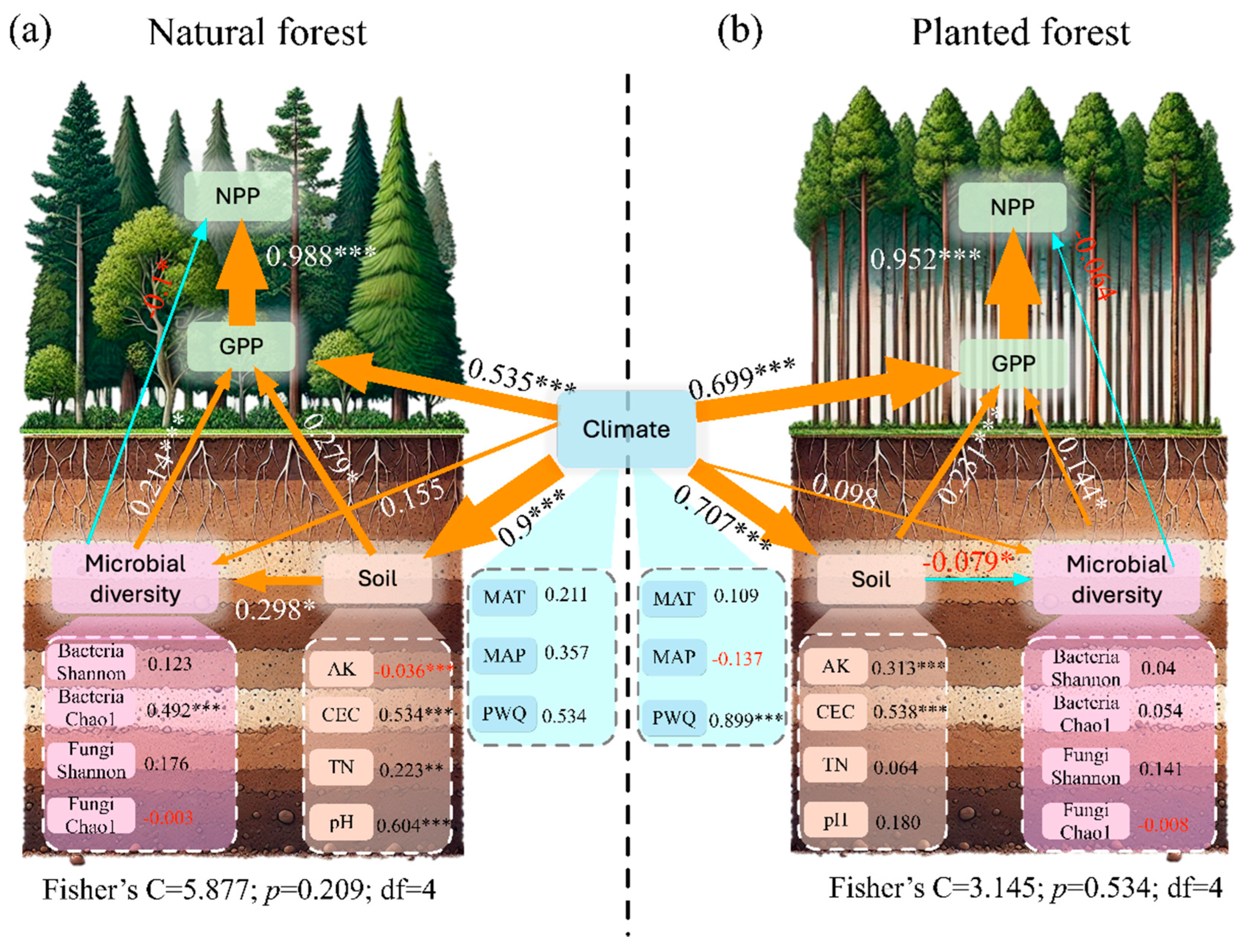 Plants 15 00098 g006