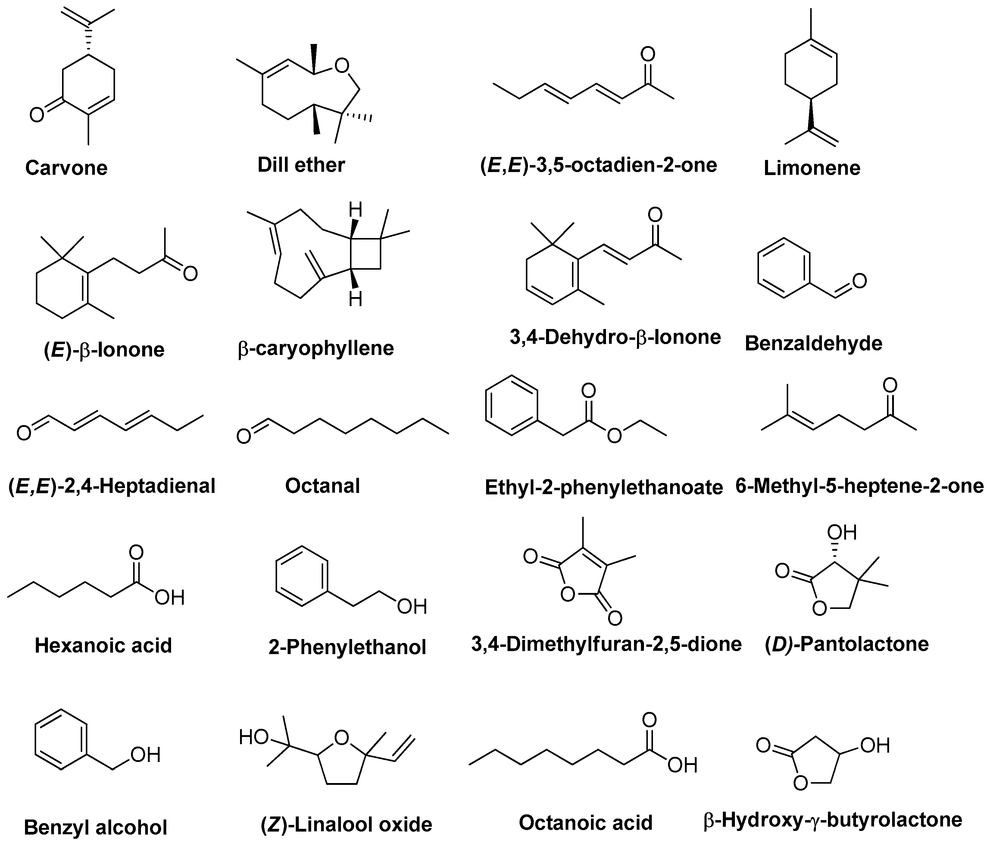 Plants 15 00099 g004