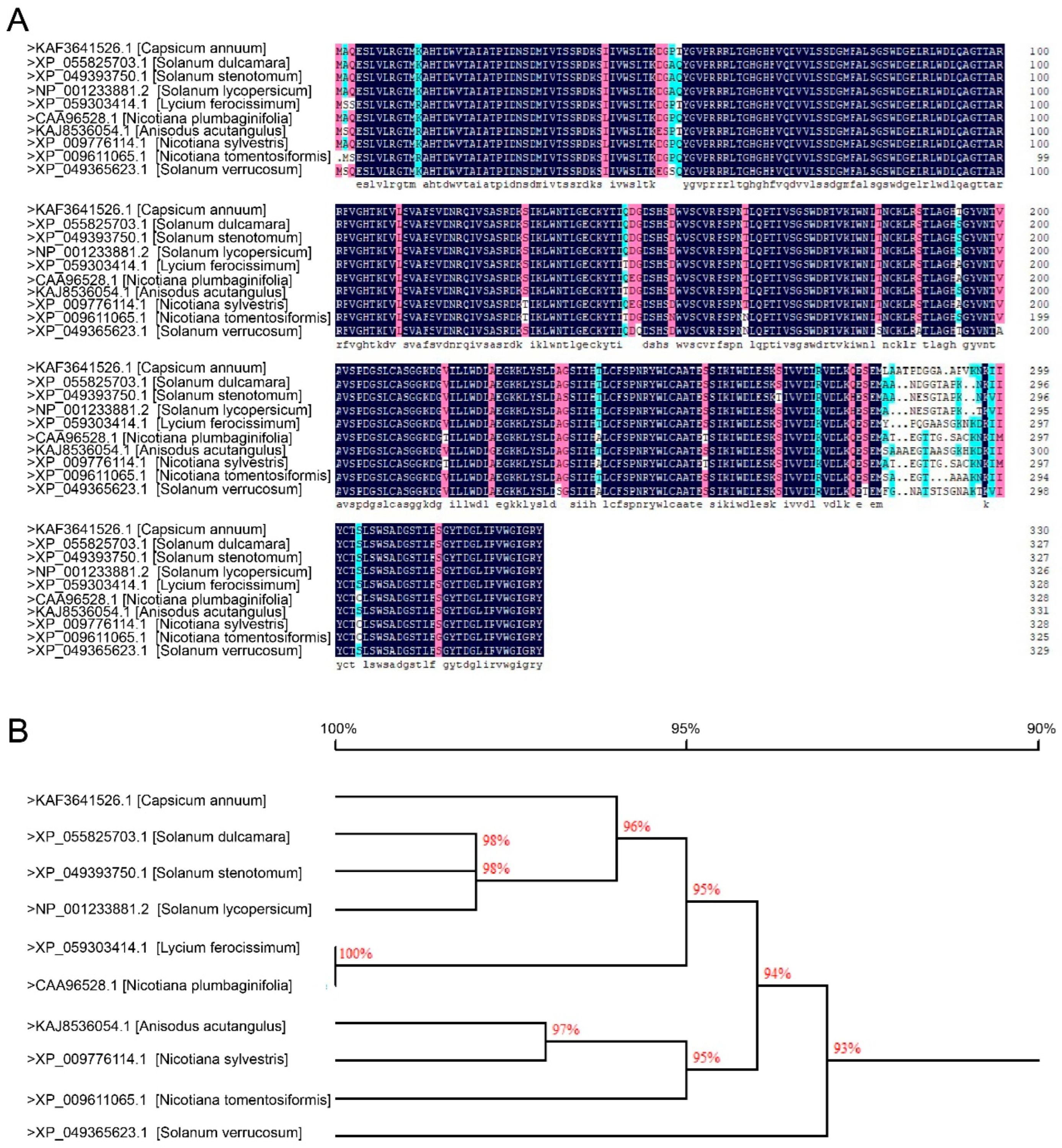 Plants 15 00101 g001 Plants 15 00101 g001