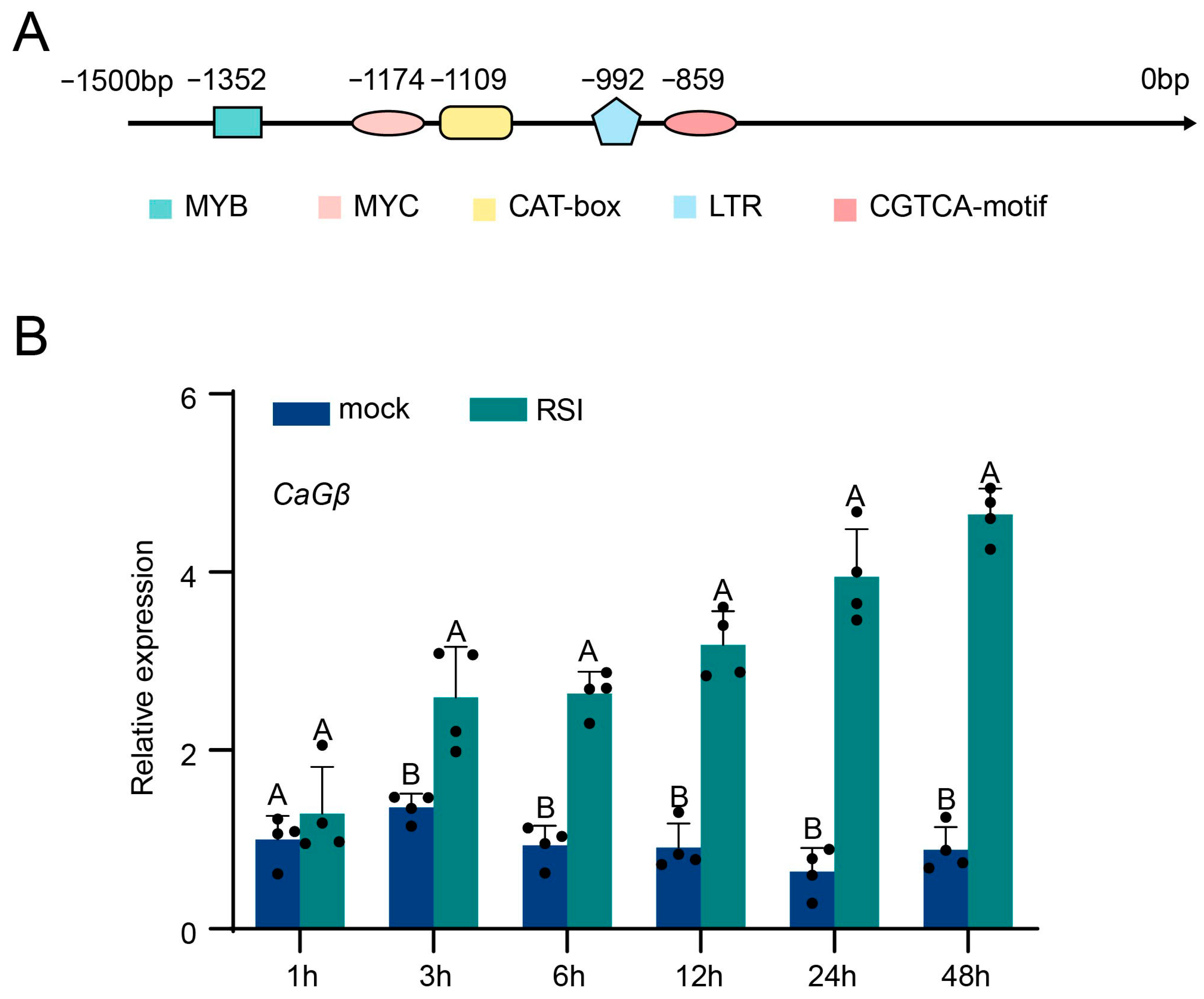 Plants 15 00101 g002 Plants 15 00101 g002