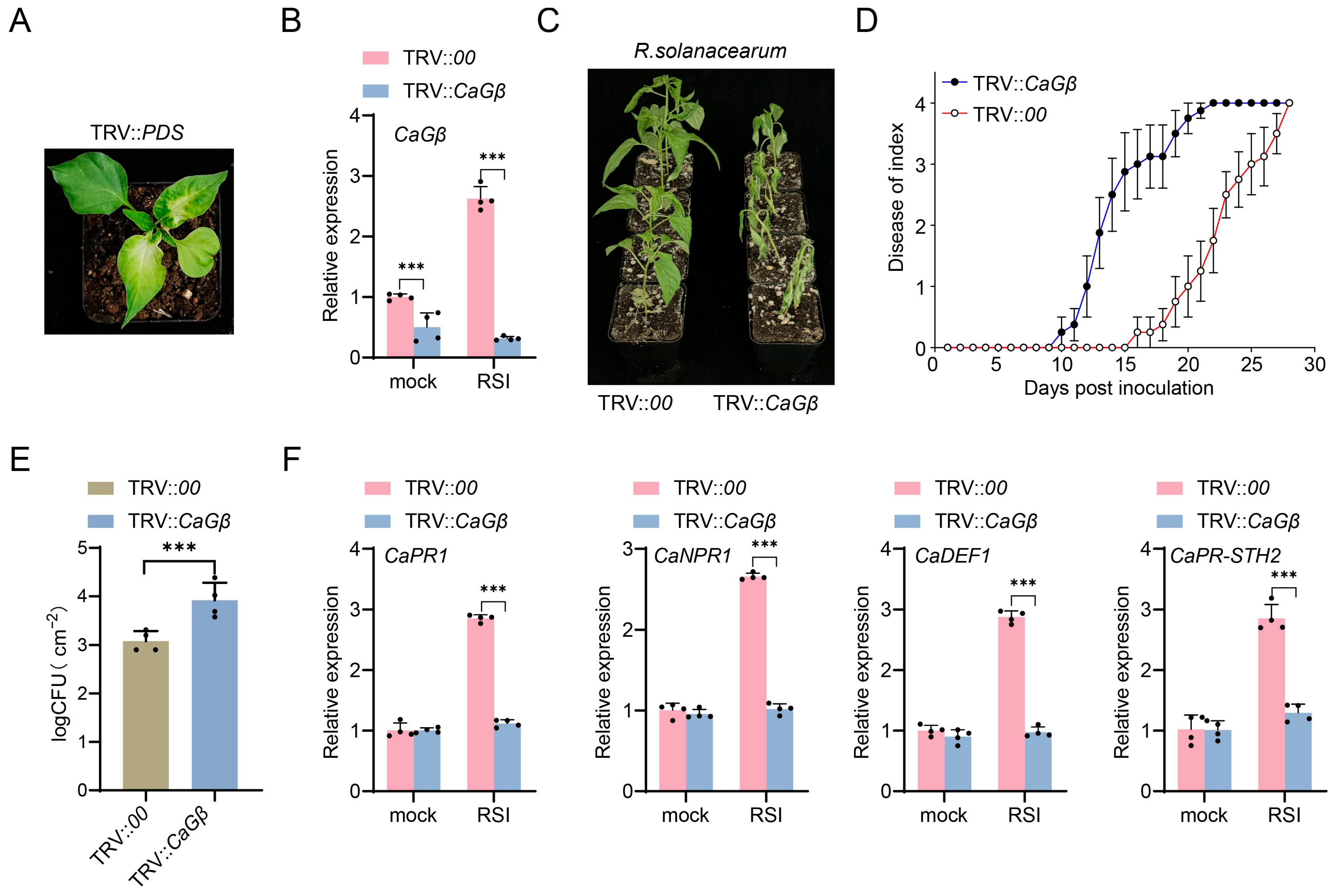 Plants 15 00101 g004 Plants 15 00101 g004
