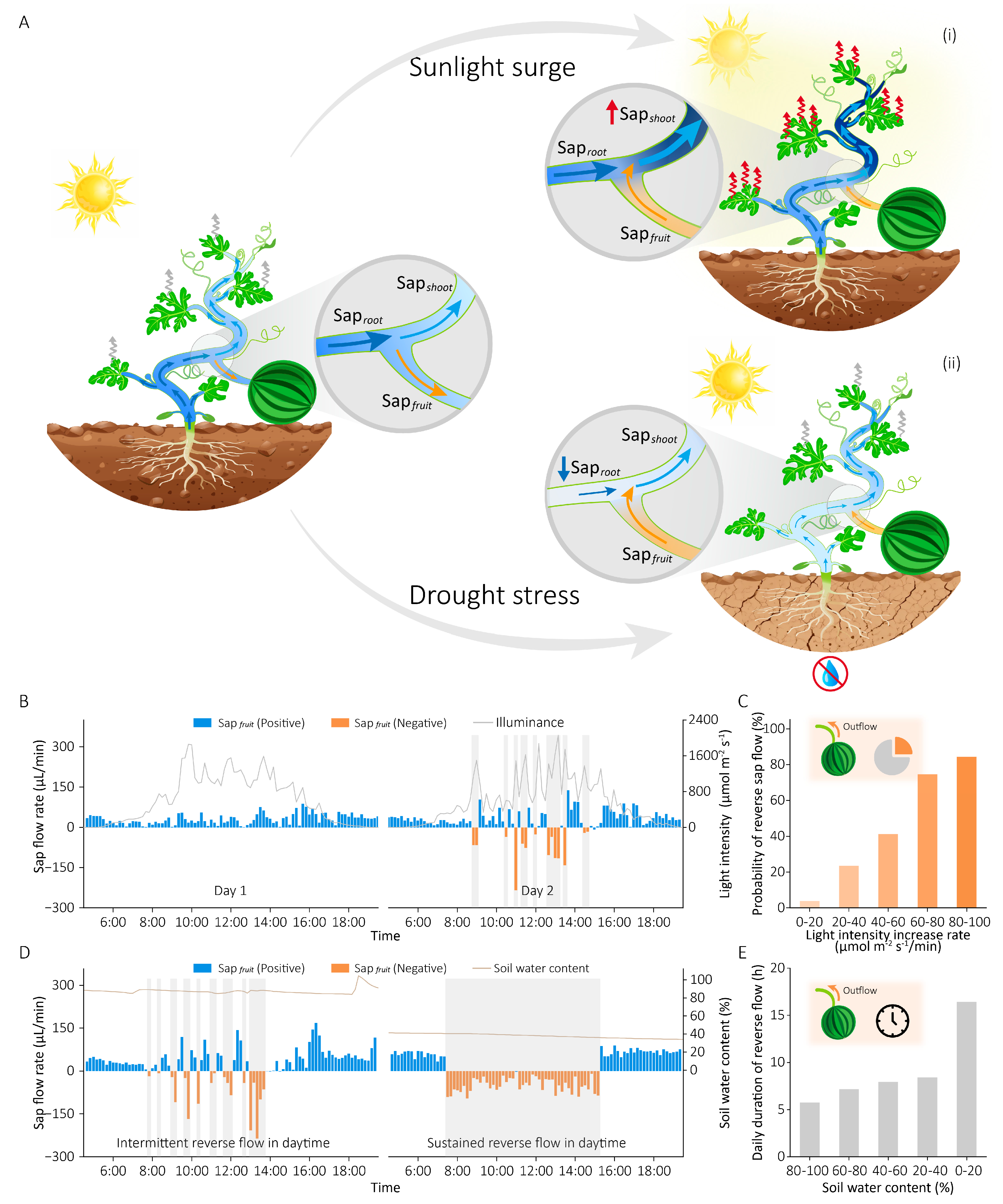 Plants 15 00105 g003