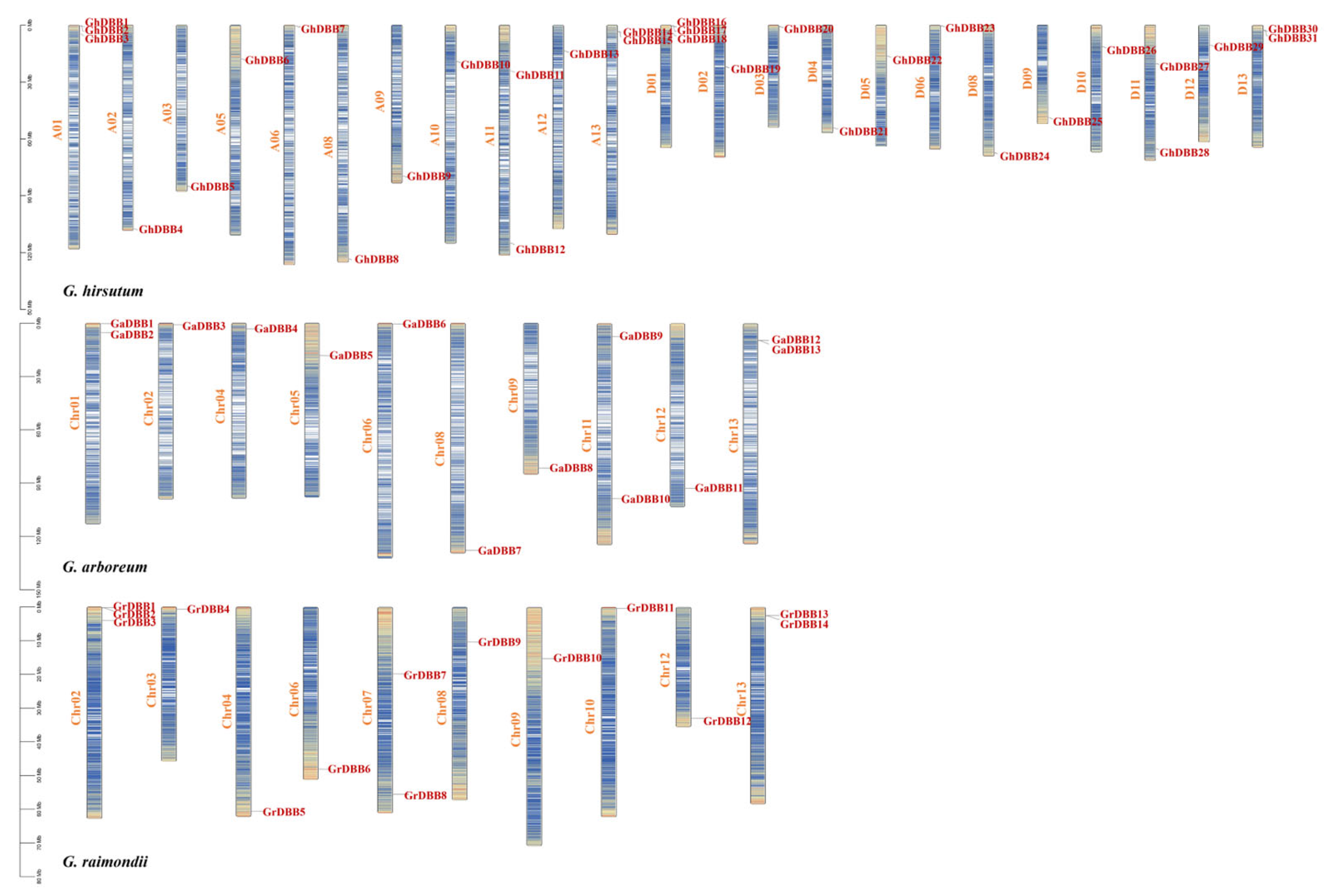 Plants 15 00109 g001