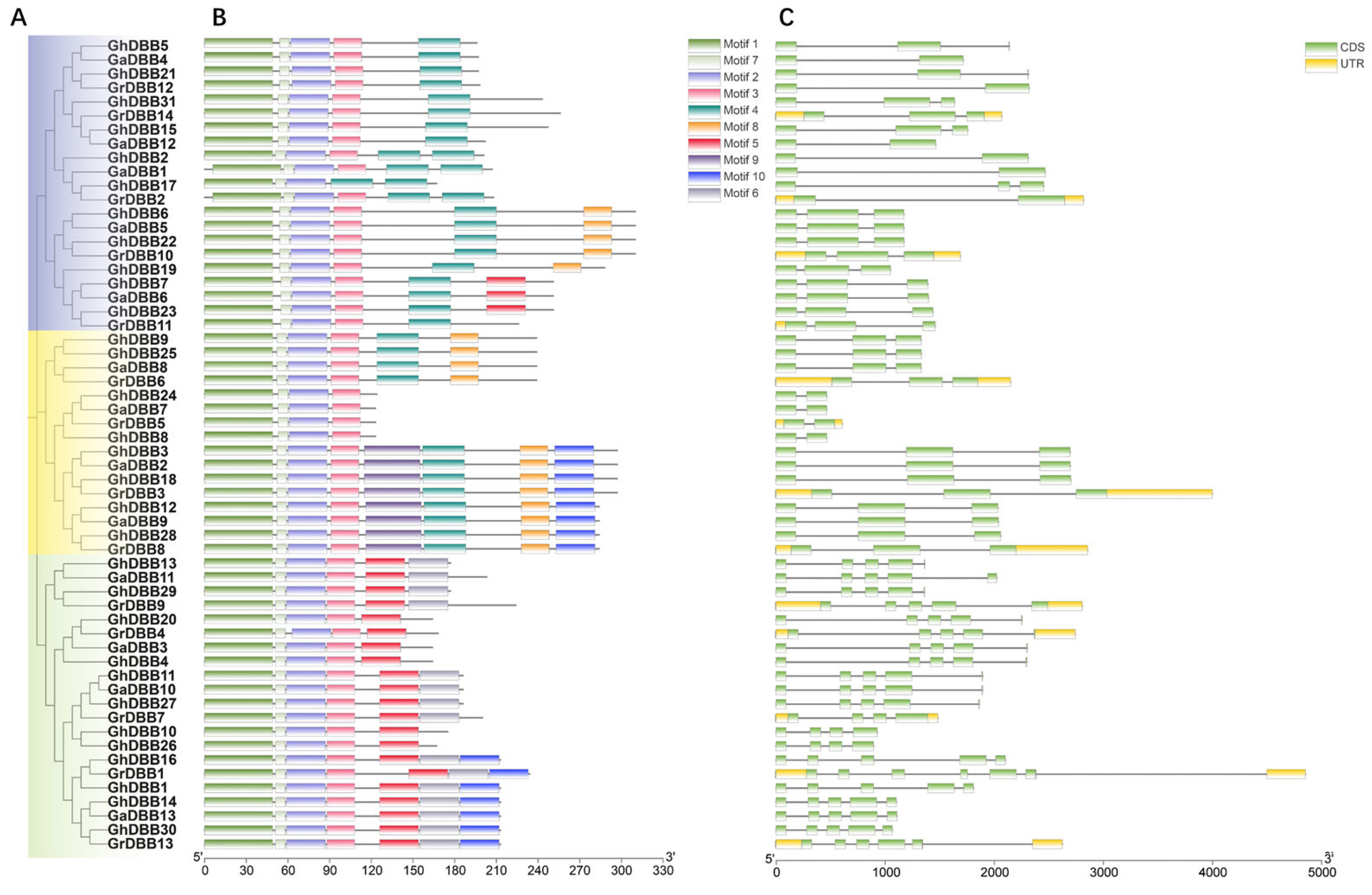Plants 15 00109 g003