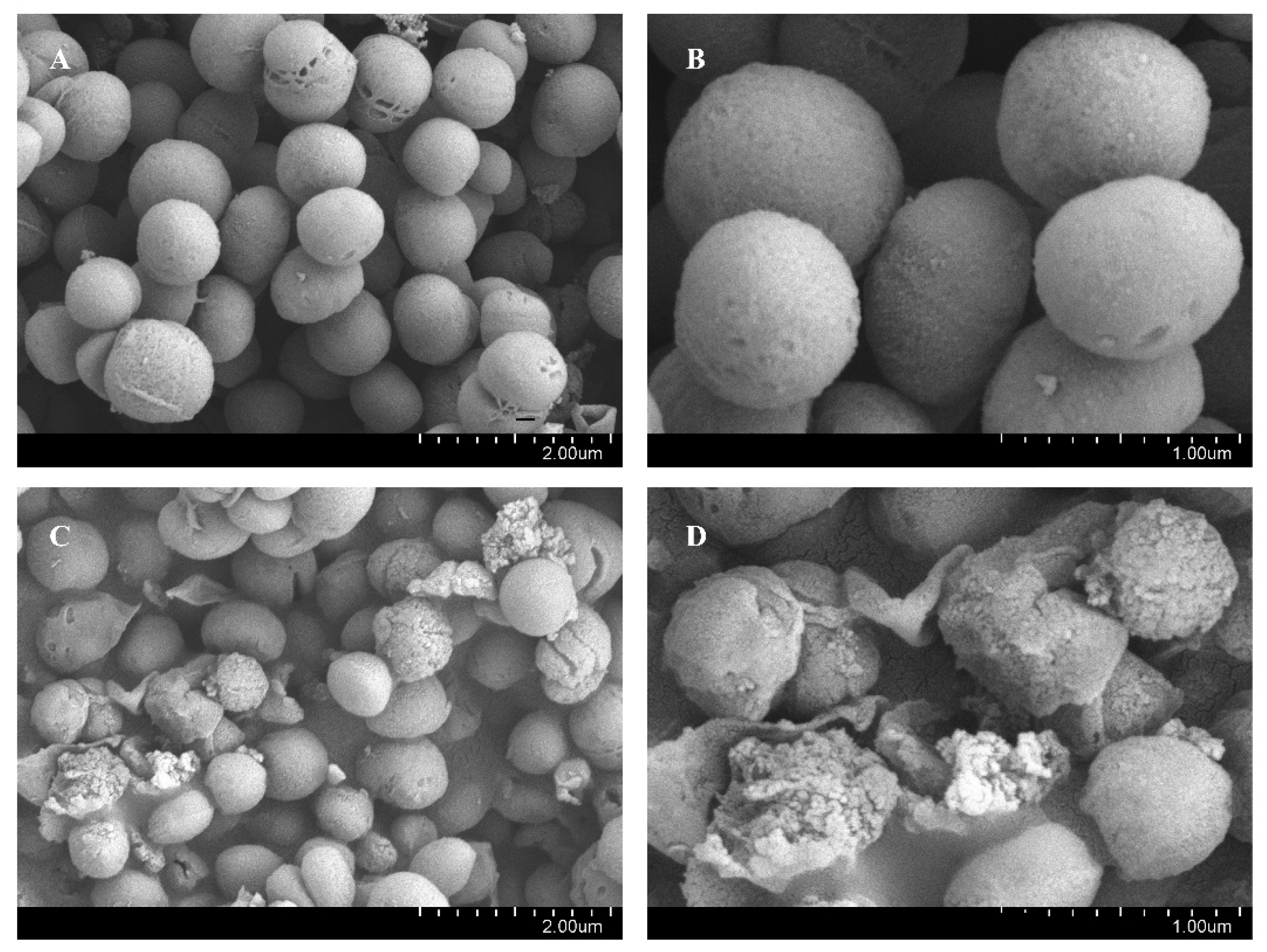 Plants 15 00115 g003