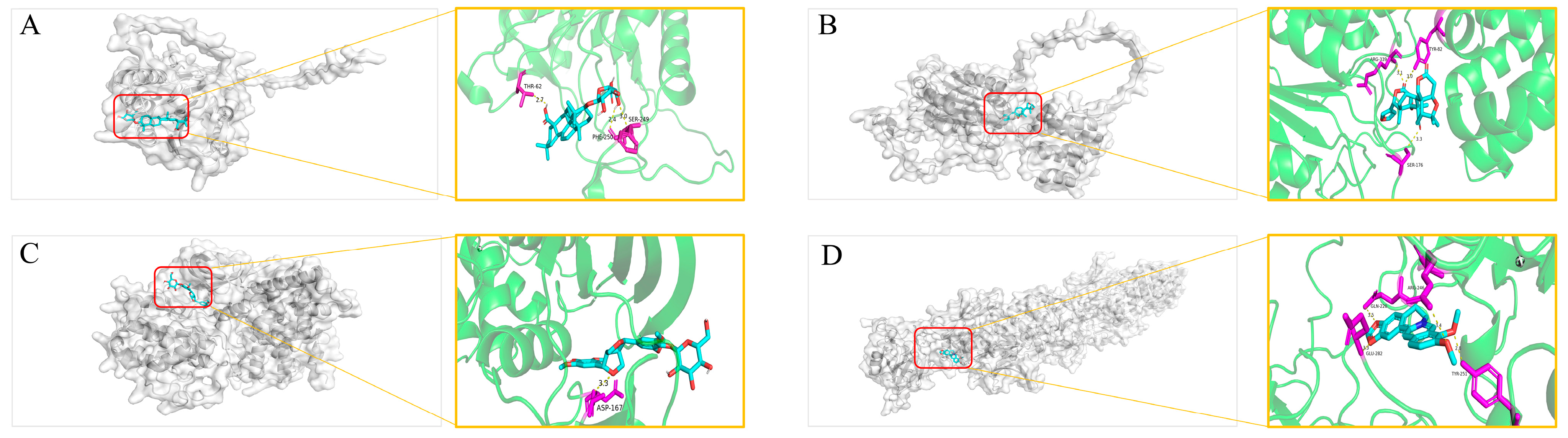 Plants 15 00115 g008