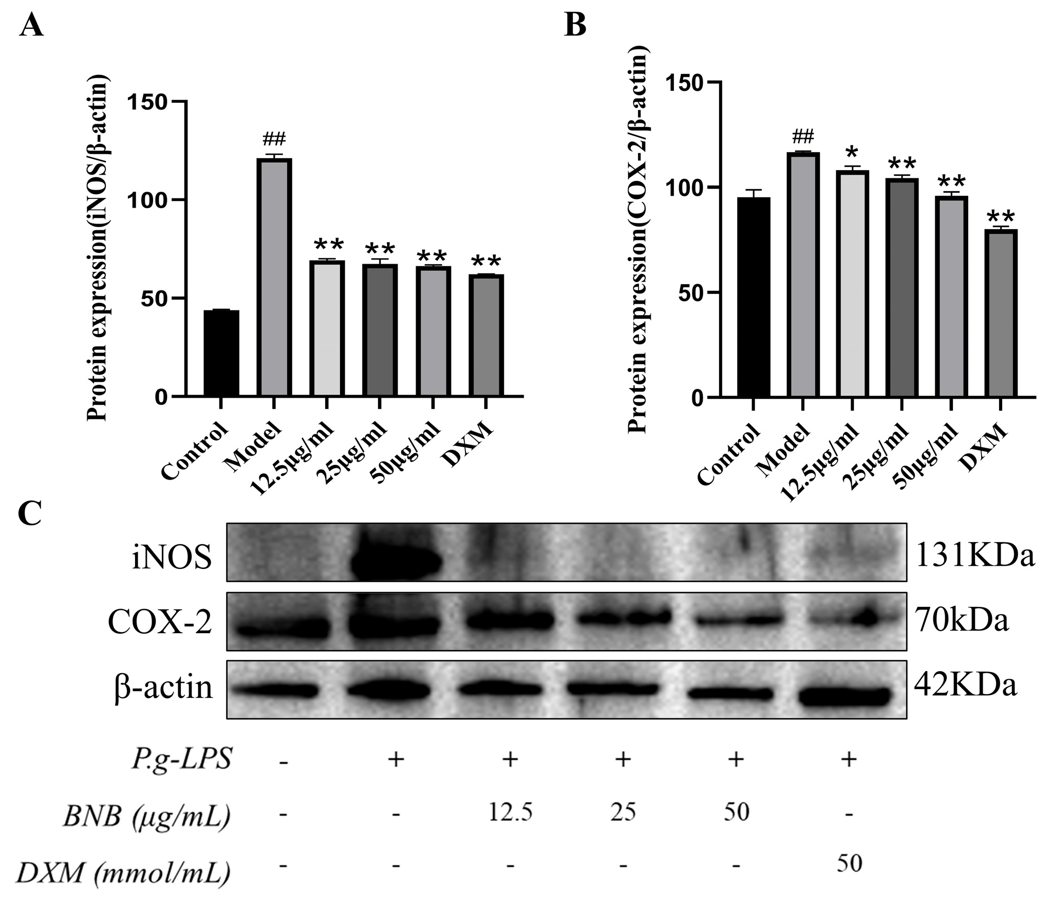 Plants 15 00115 g011