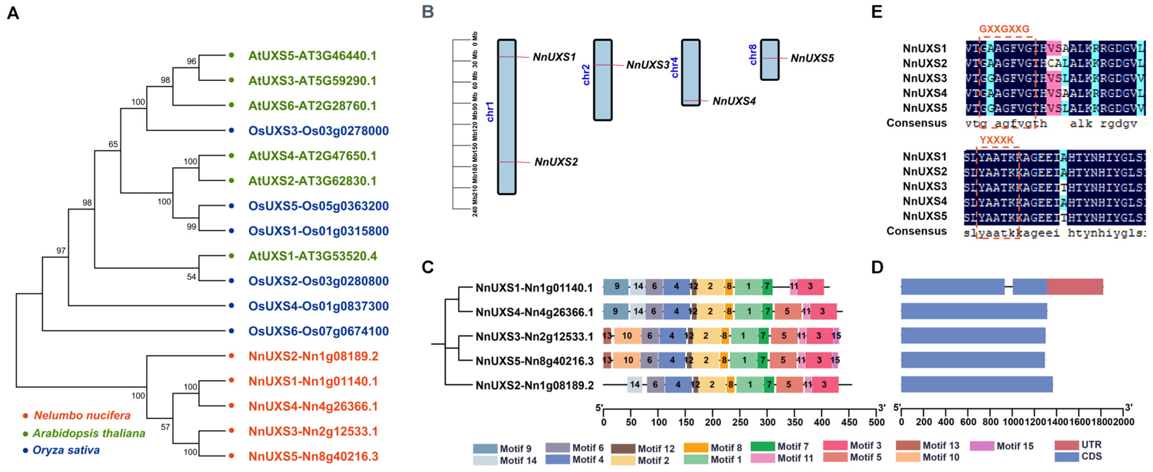 Plants 15 00116 g001 Plants 15 00116 g001