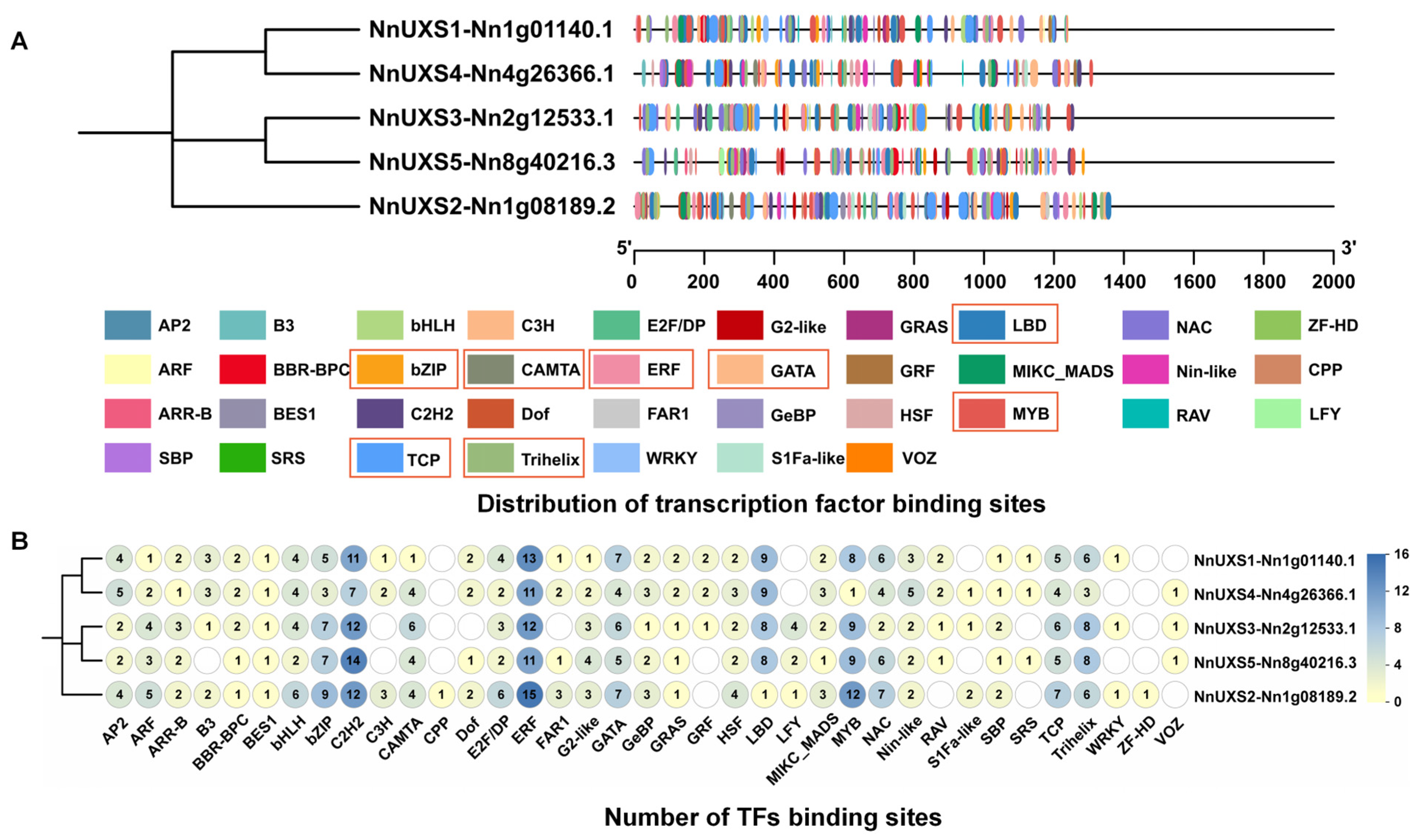 Plants 15 00116 g002 Plants 15 00116 g002