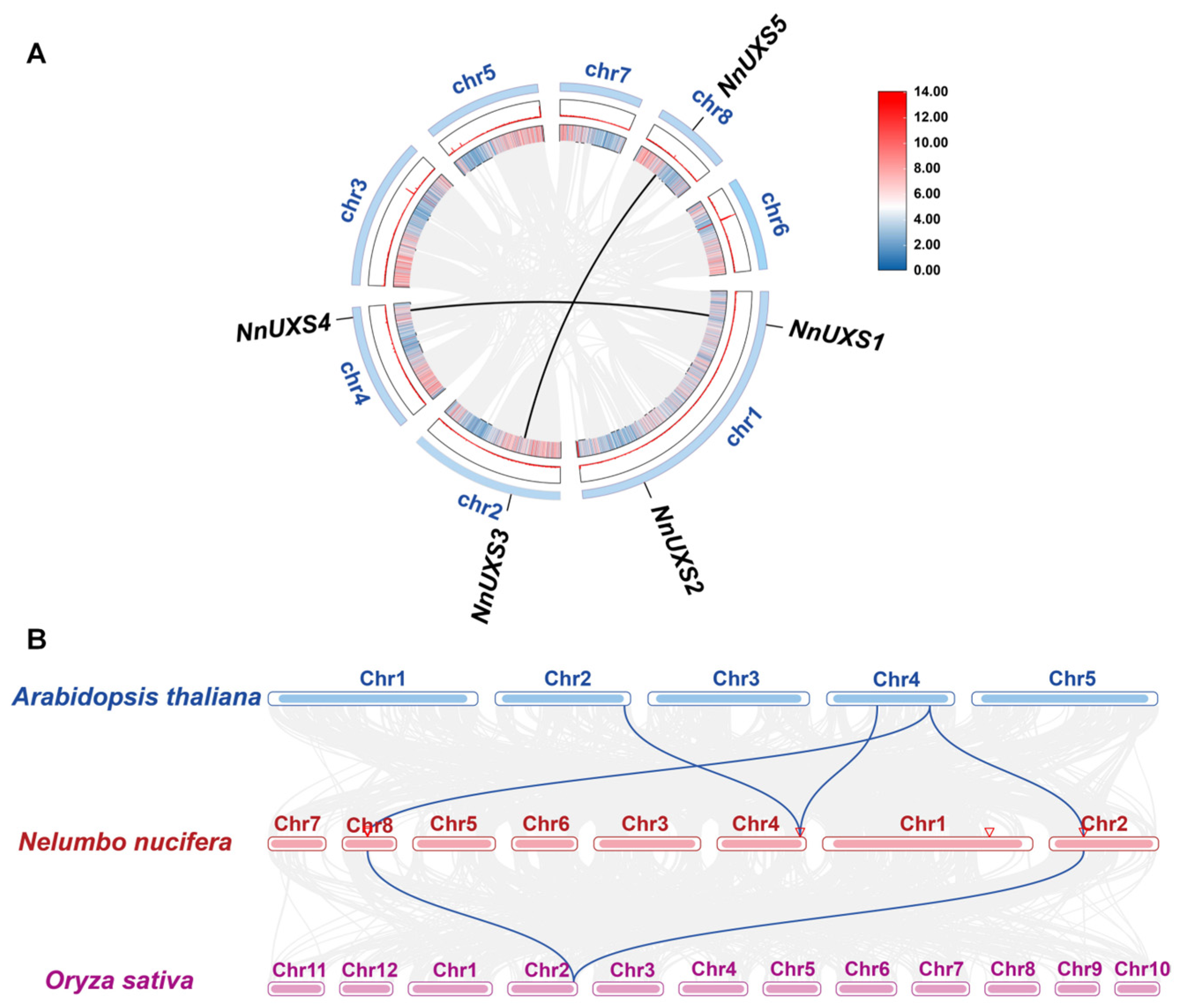 Plants 15 00116 g003 Plants 15 00116 g003