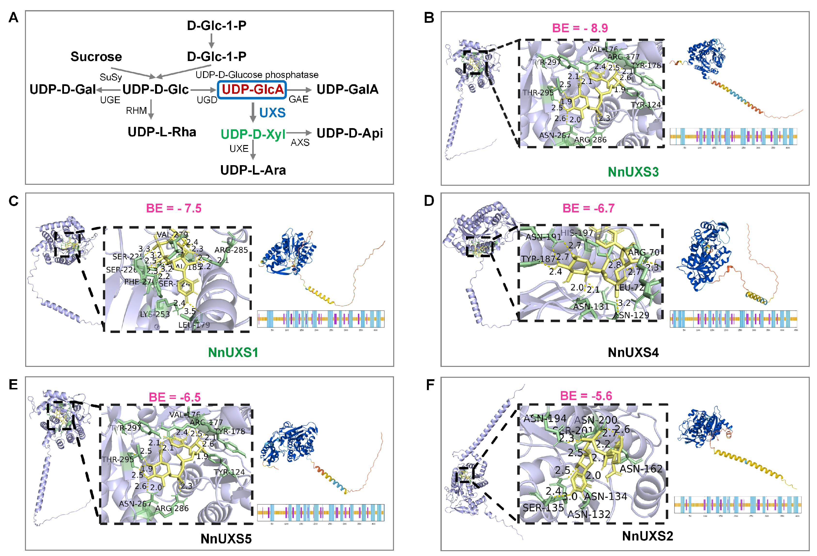 Plants 15 00116 g004 Plants 15 00116 g004