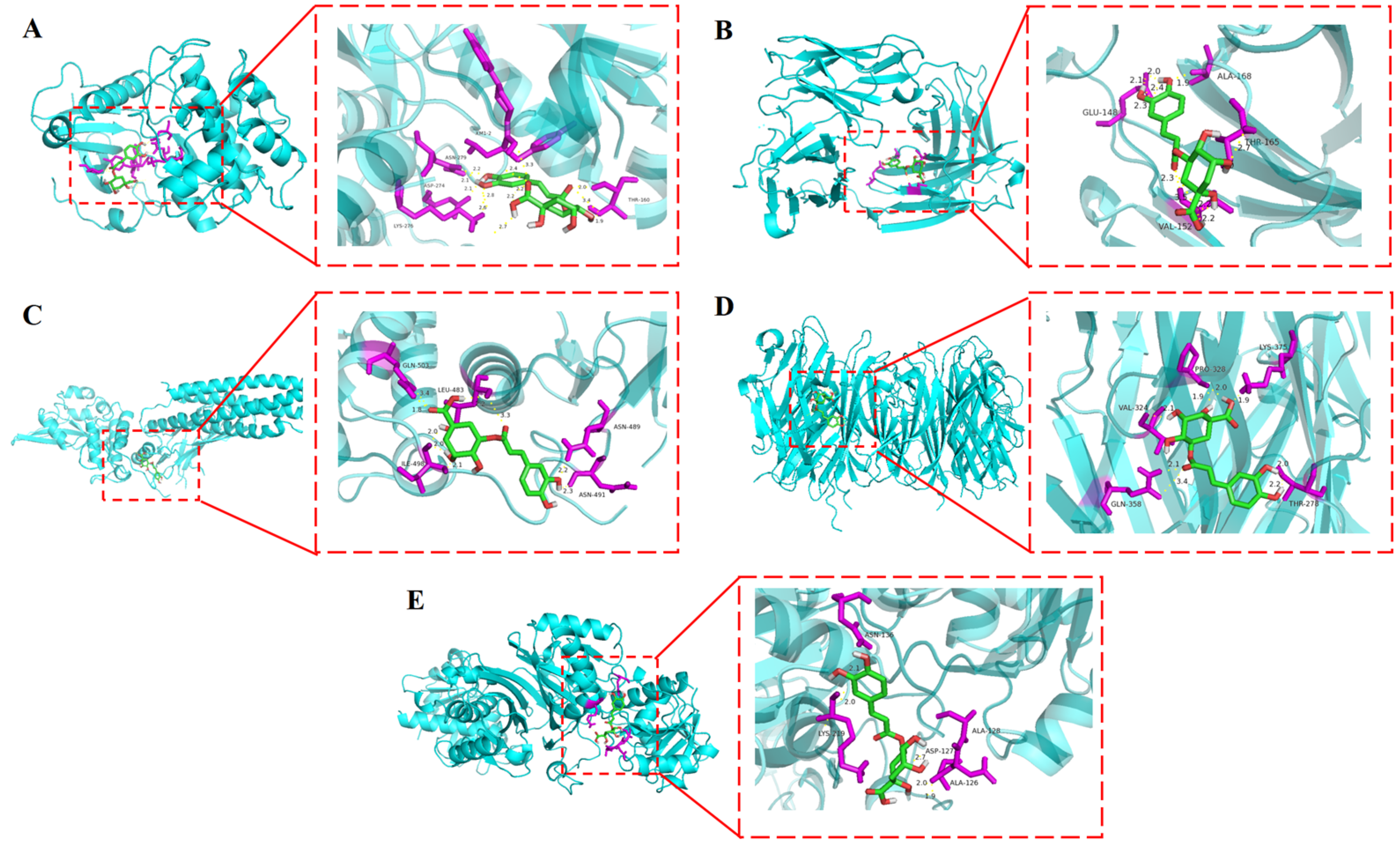 Plants 15 00120 g008 Plants 15 00120 g008