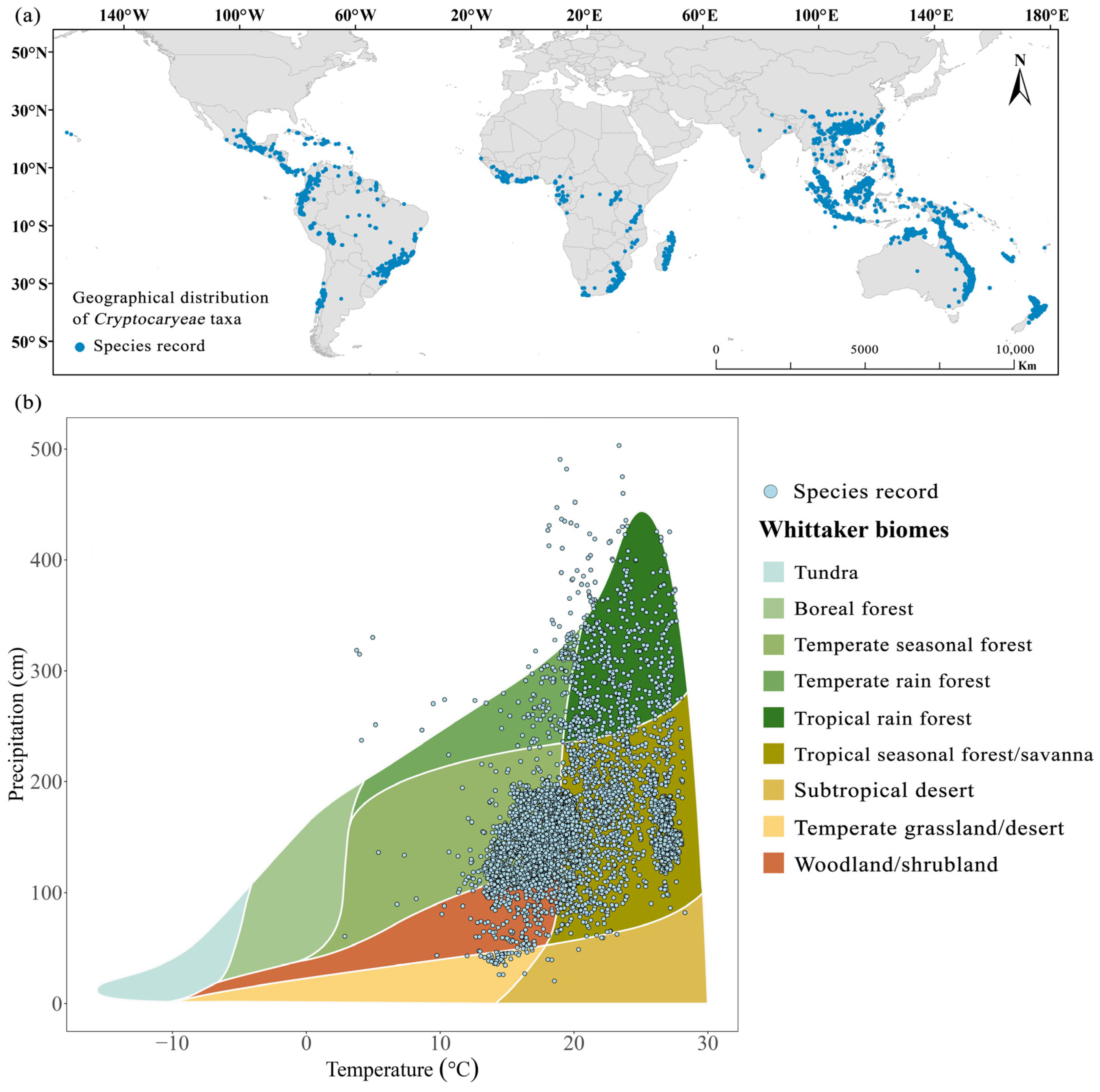 Plants 15 00126 g004