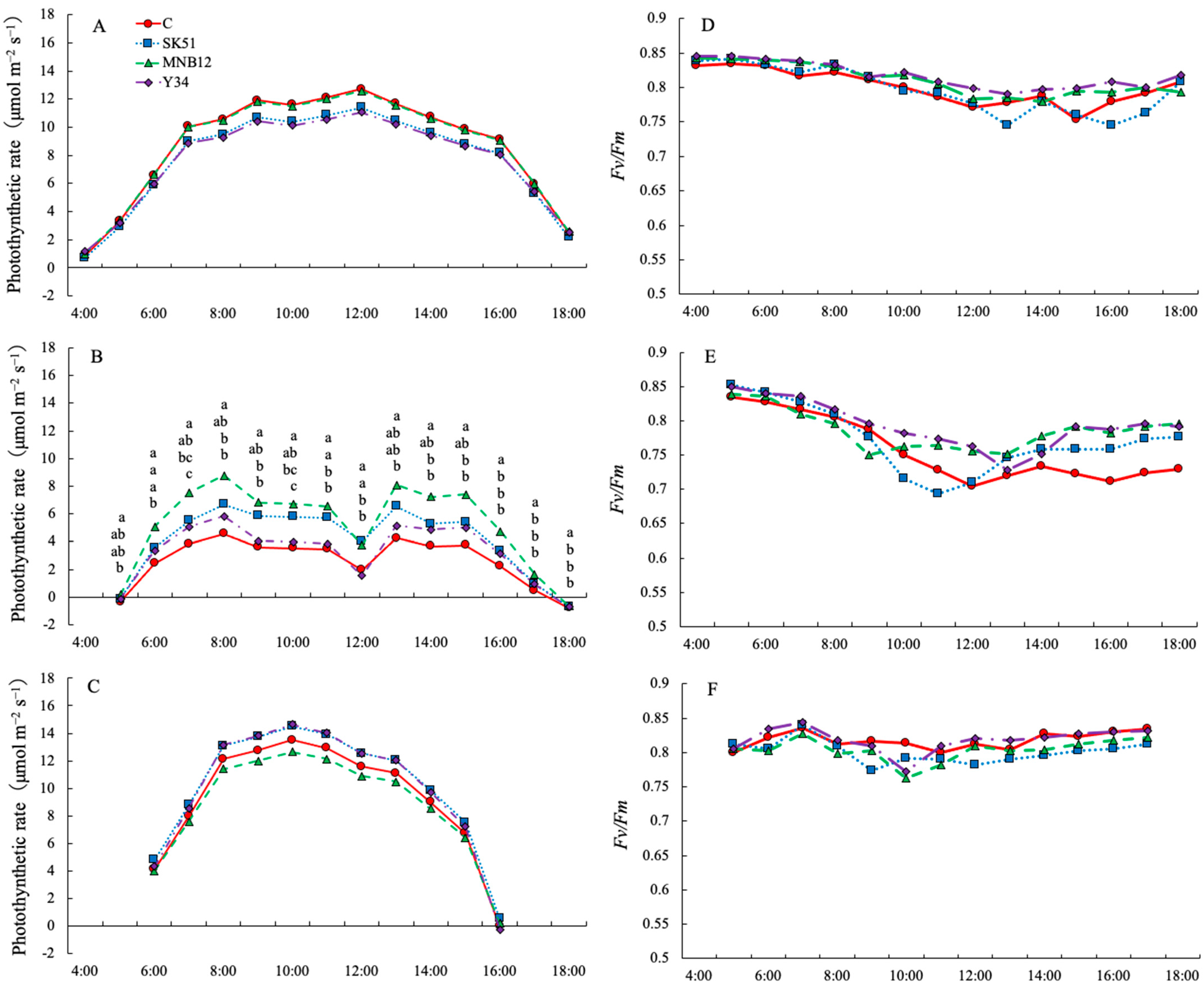 Plants 15 00129 g004