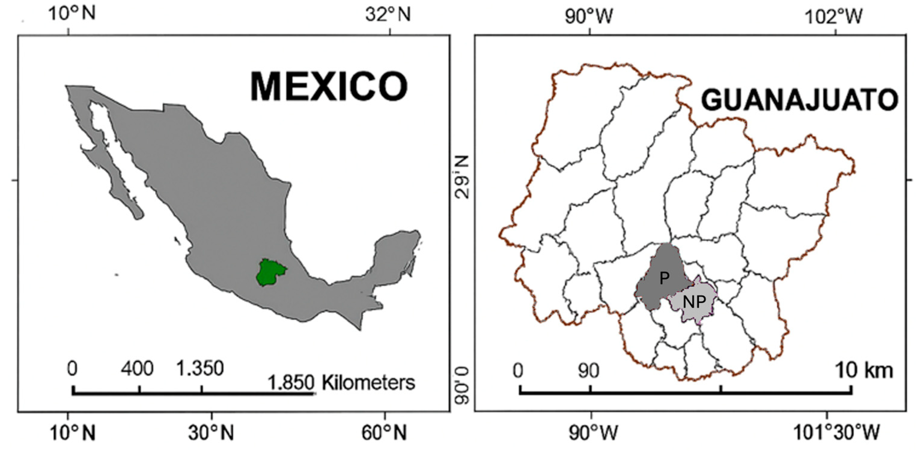 Plants 15 00130 g009
