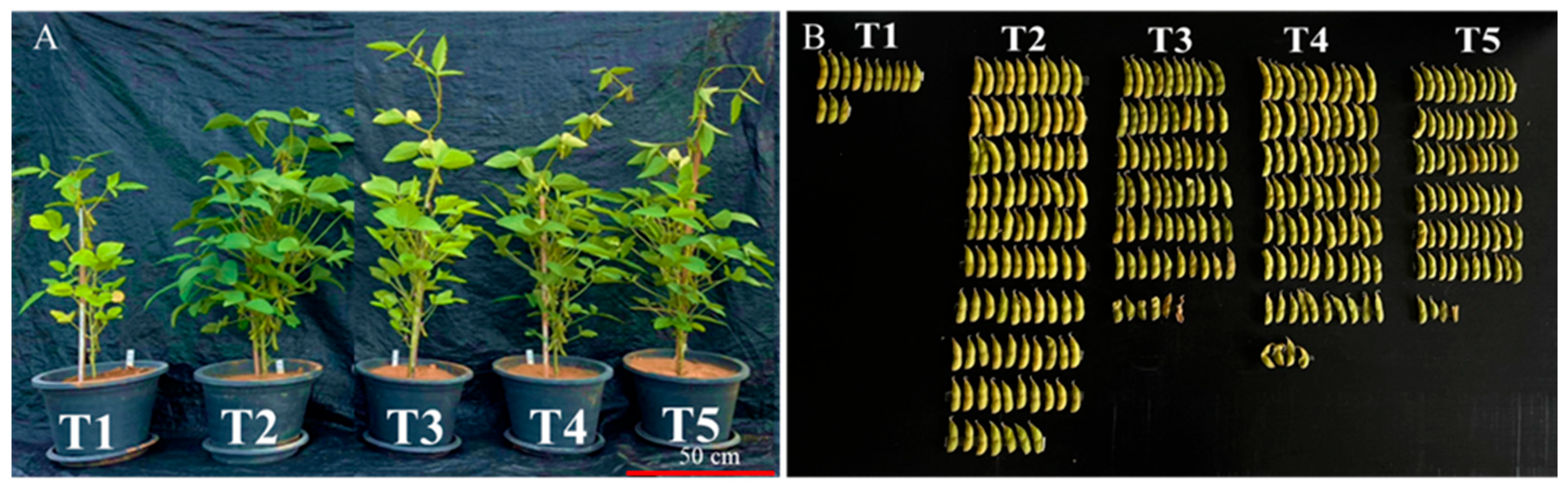 Plants 15 00131 g001