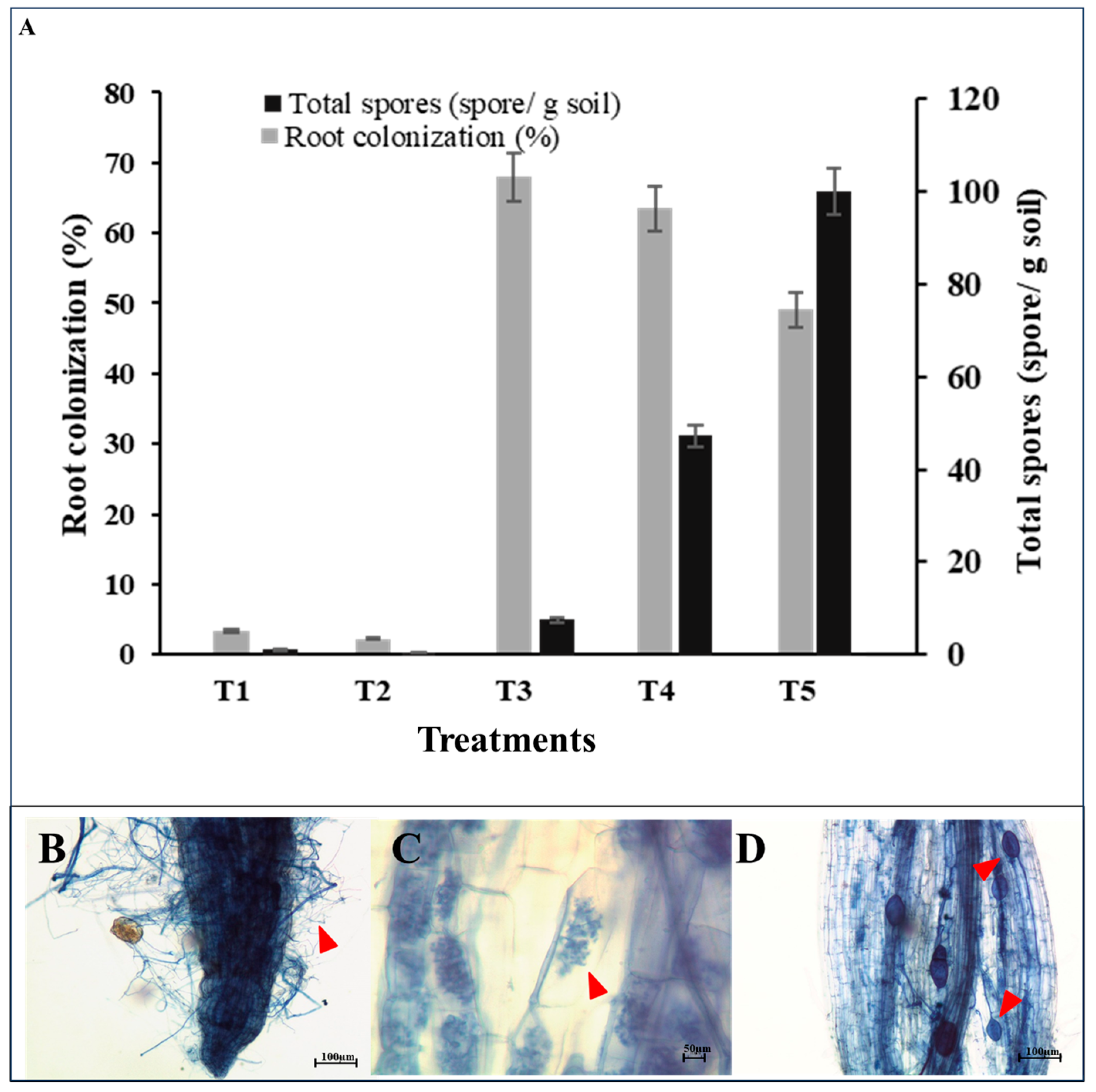 Plants 15 00131 g002