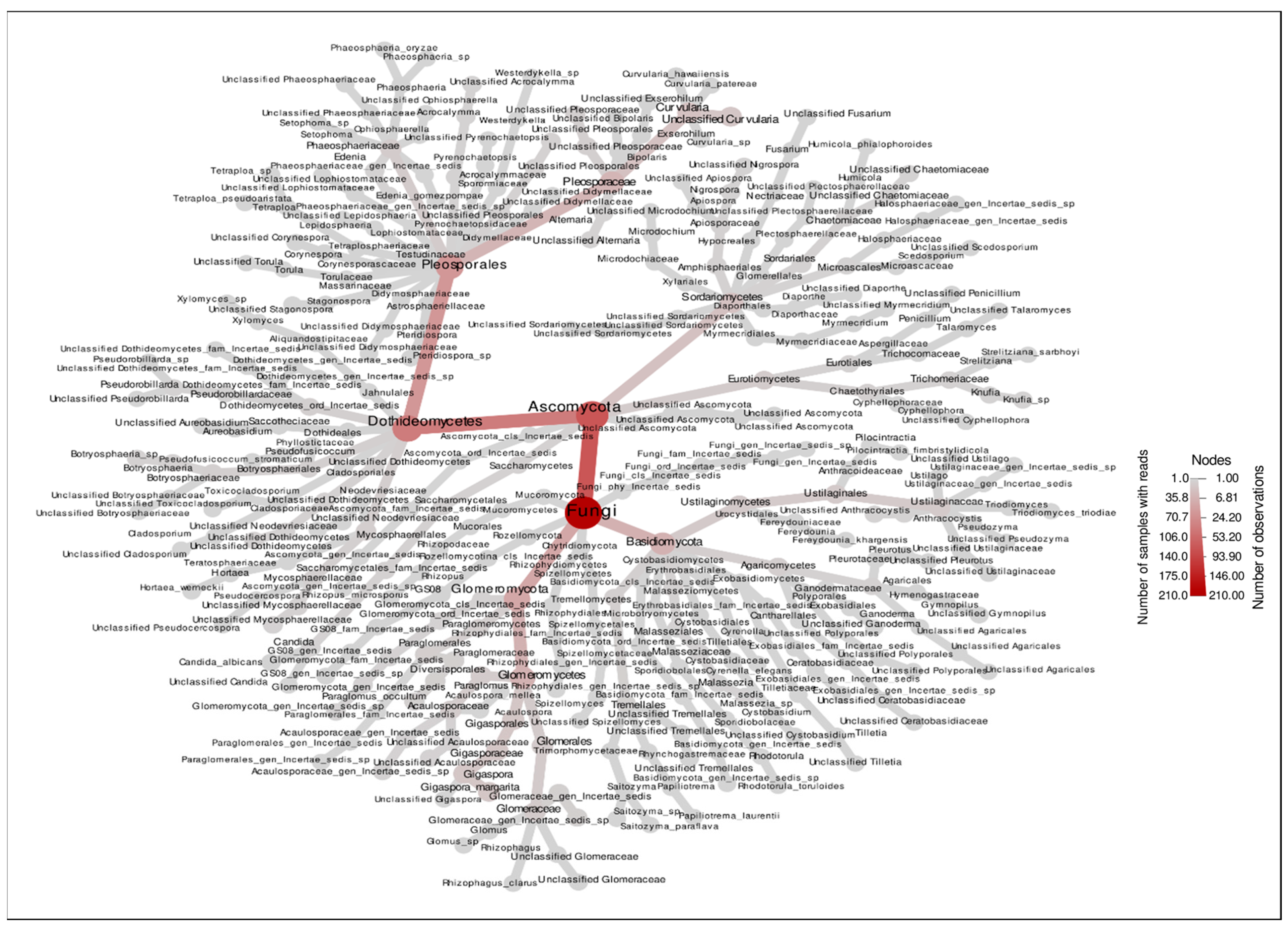 Plants 15 00131 g005