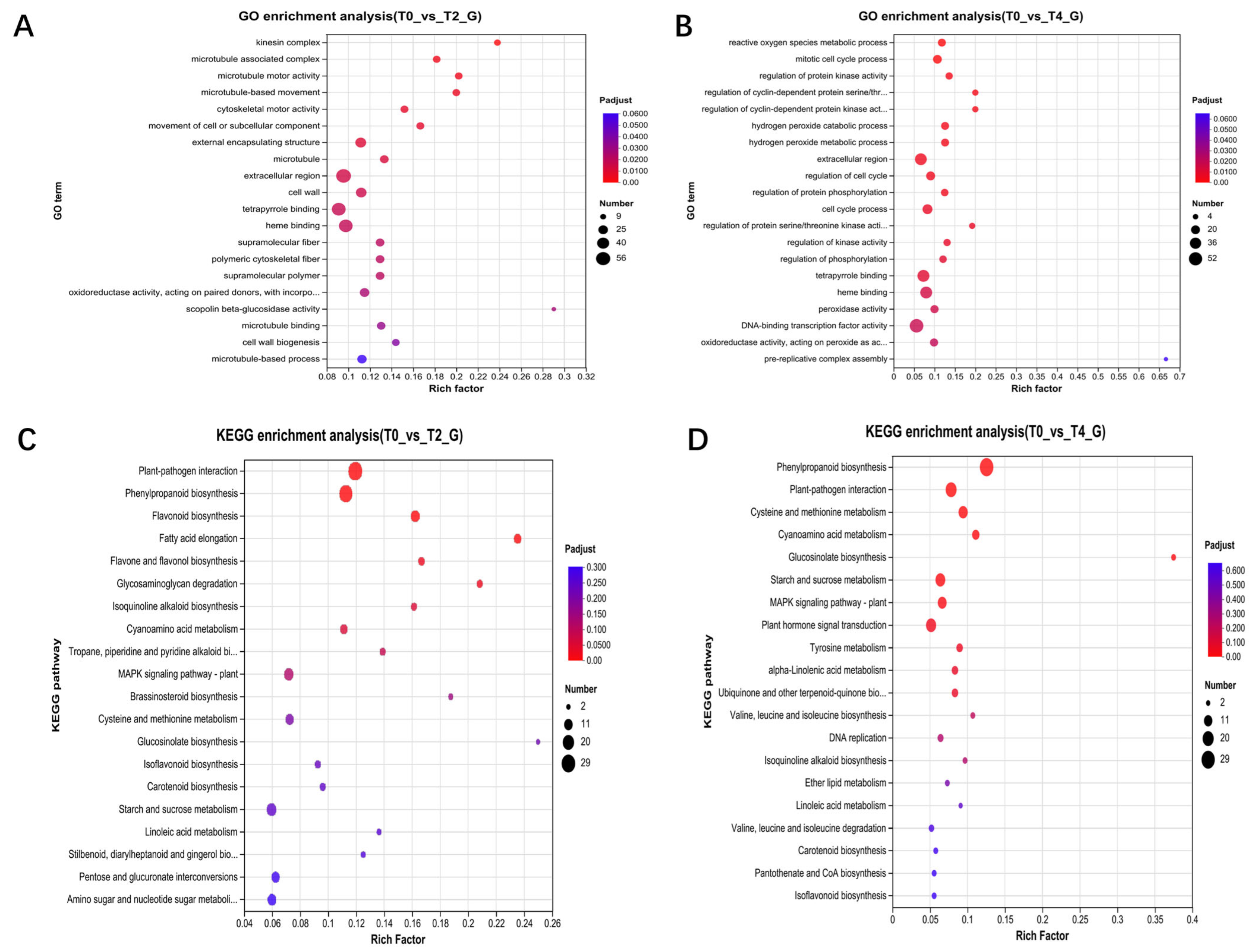 Plants 15 00133 g002