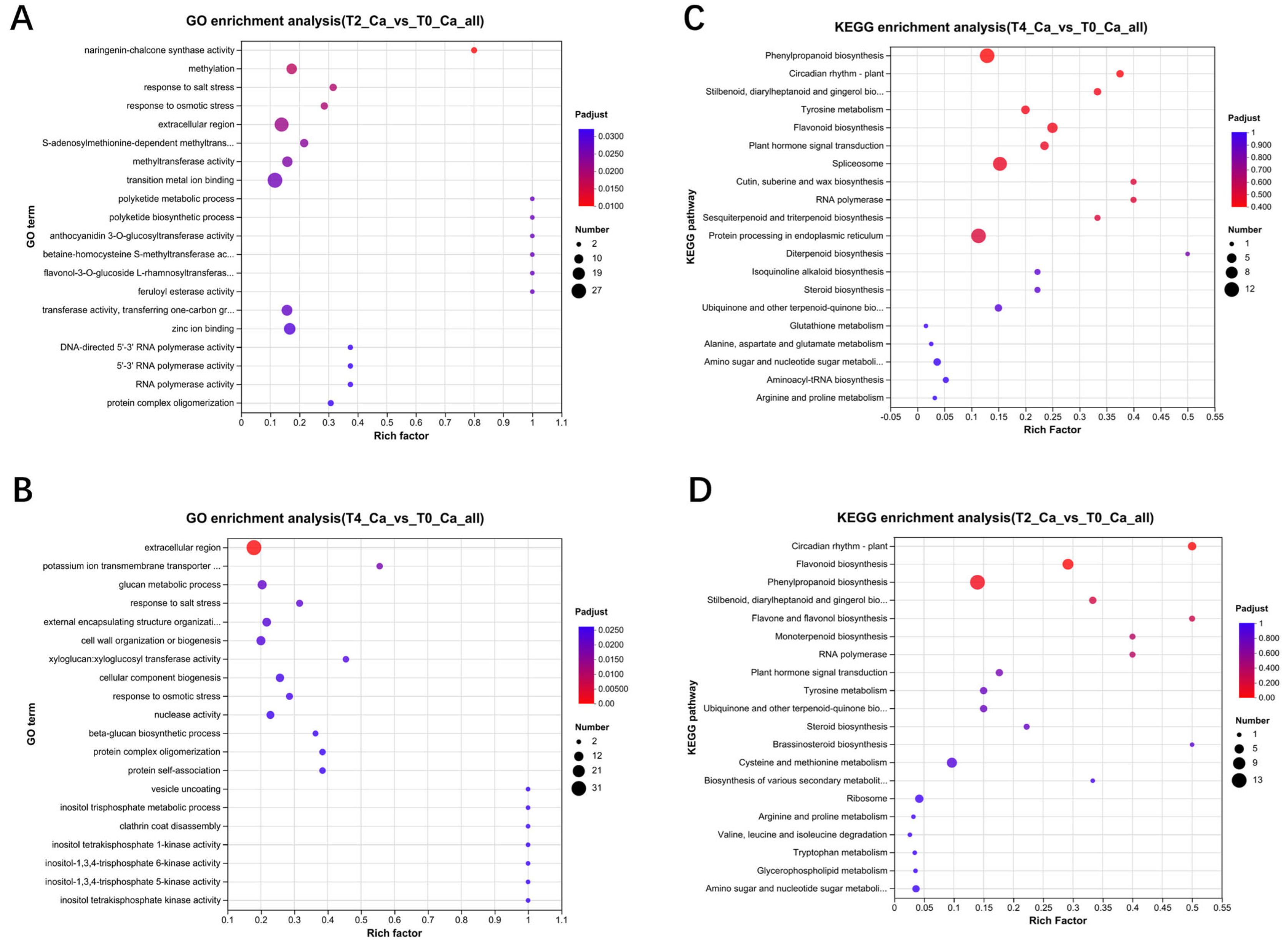 Plants 15 00133 g004