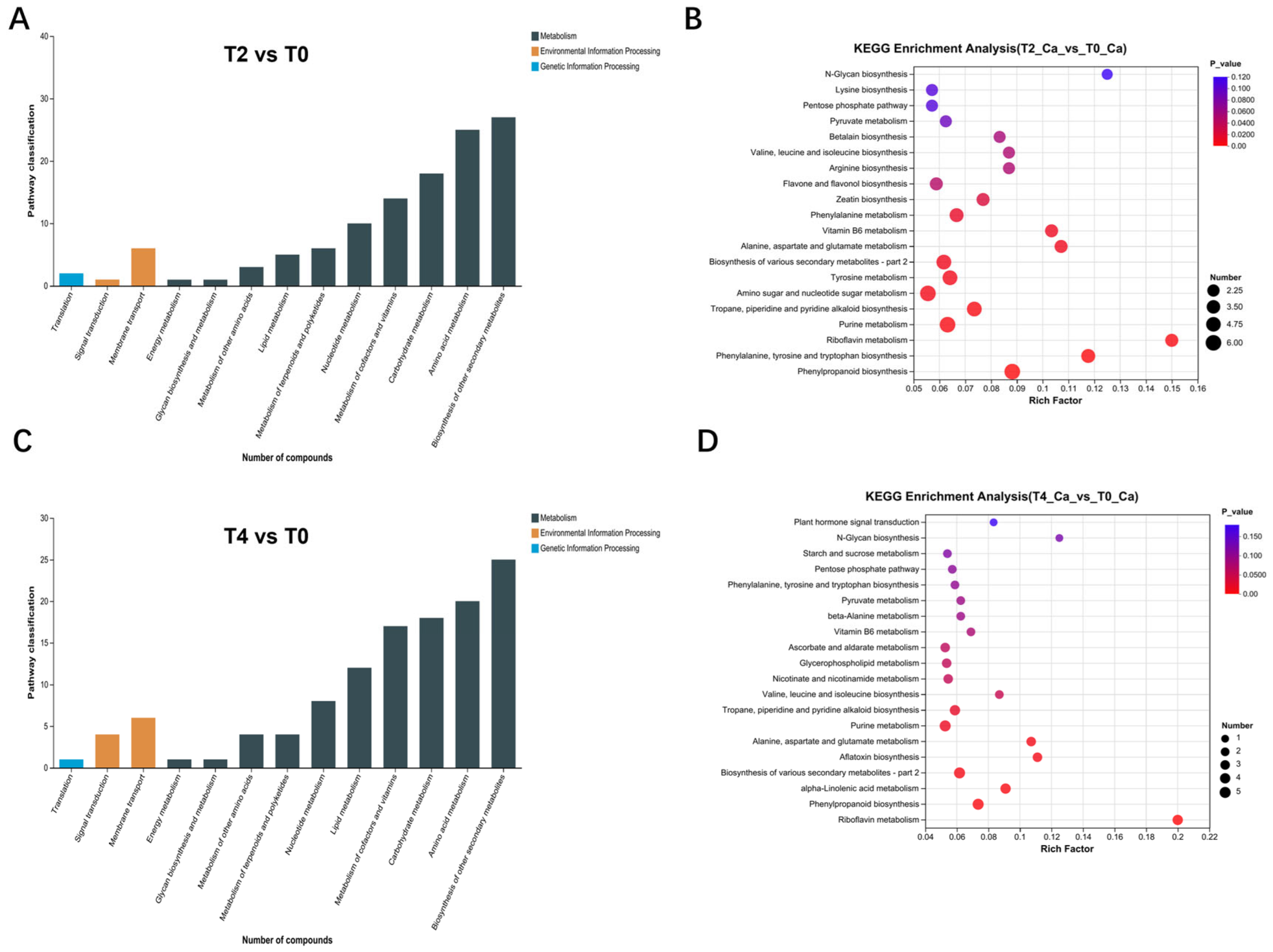 Plants 15 00133 g005