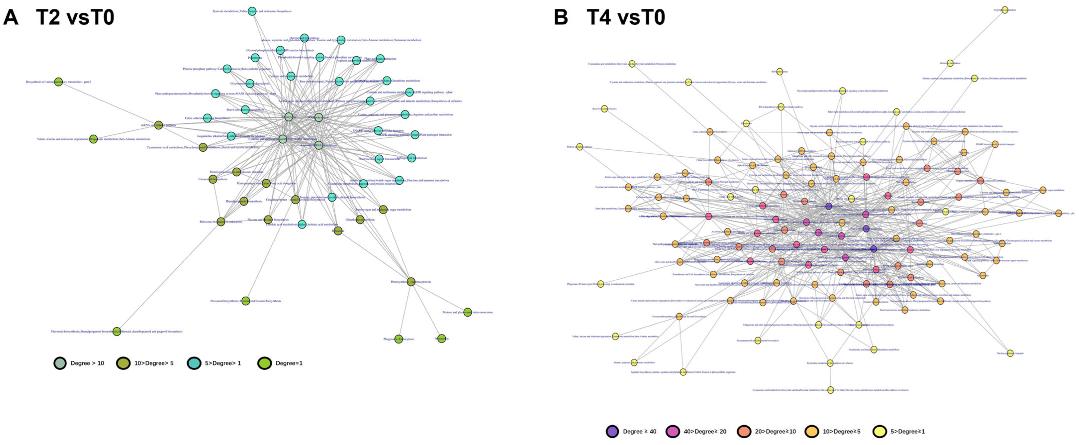 Plants 15 00133 g008