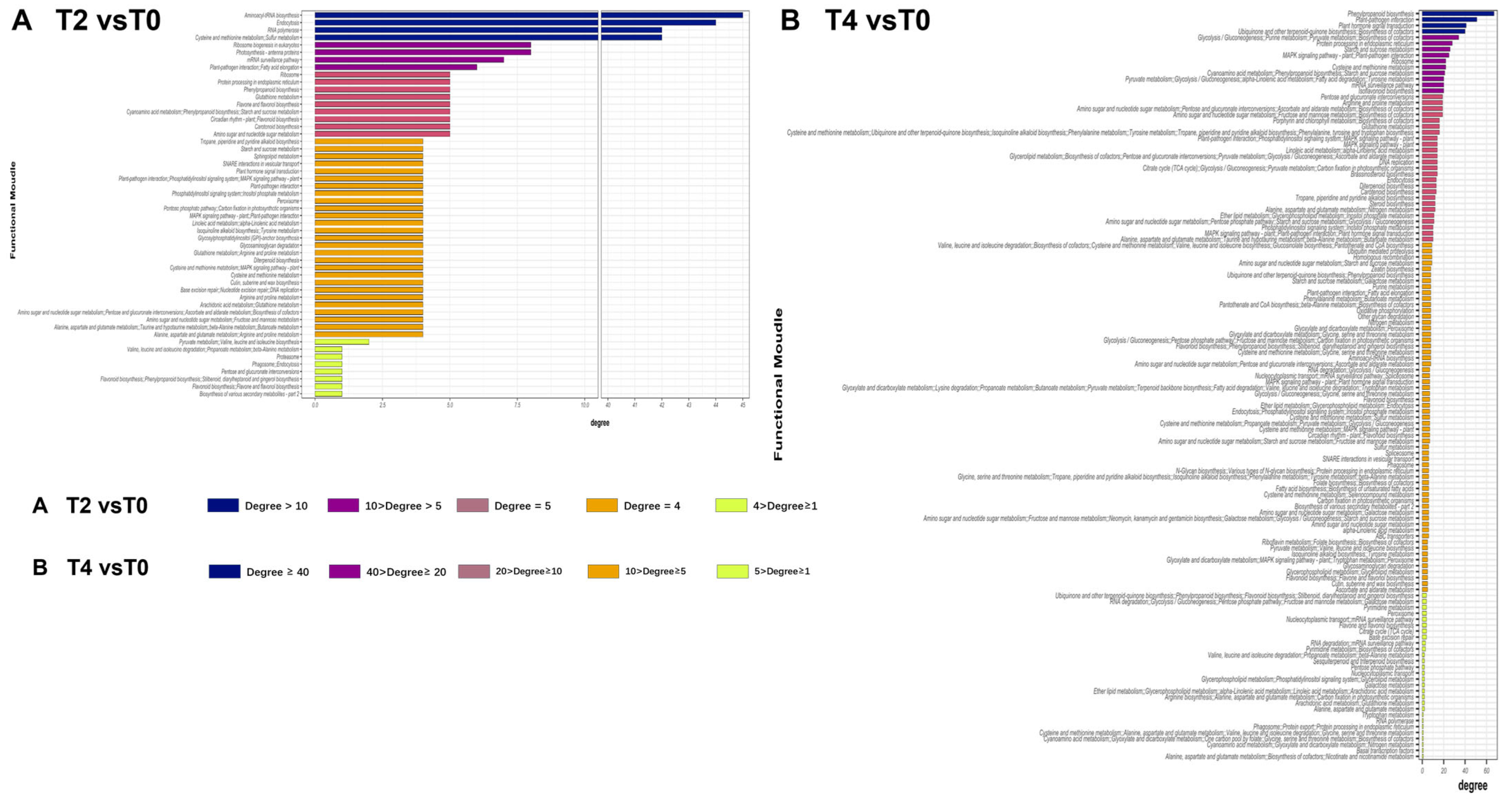 Plants 15 00133 g009