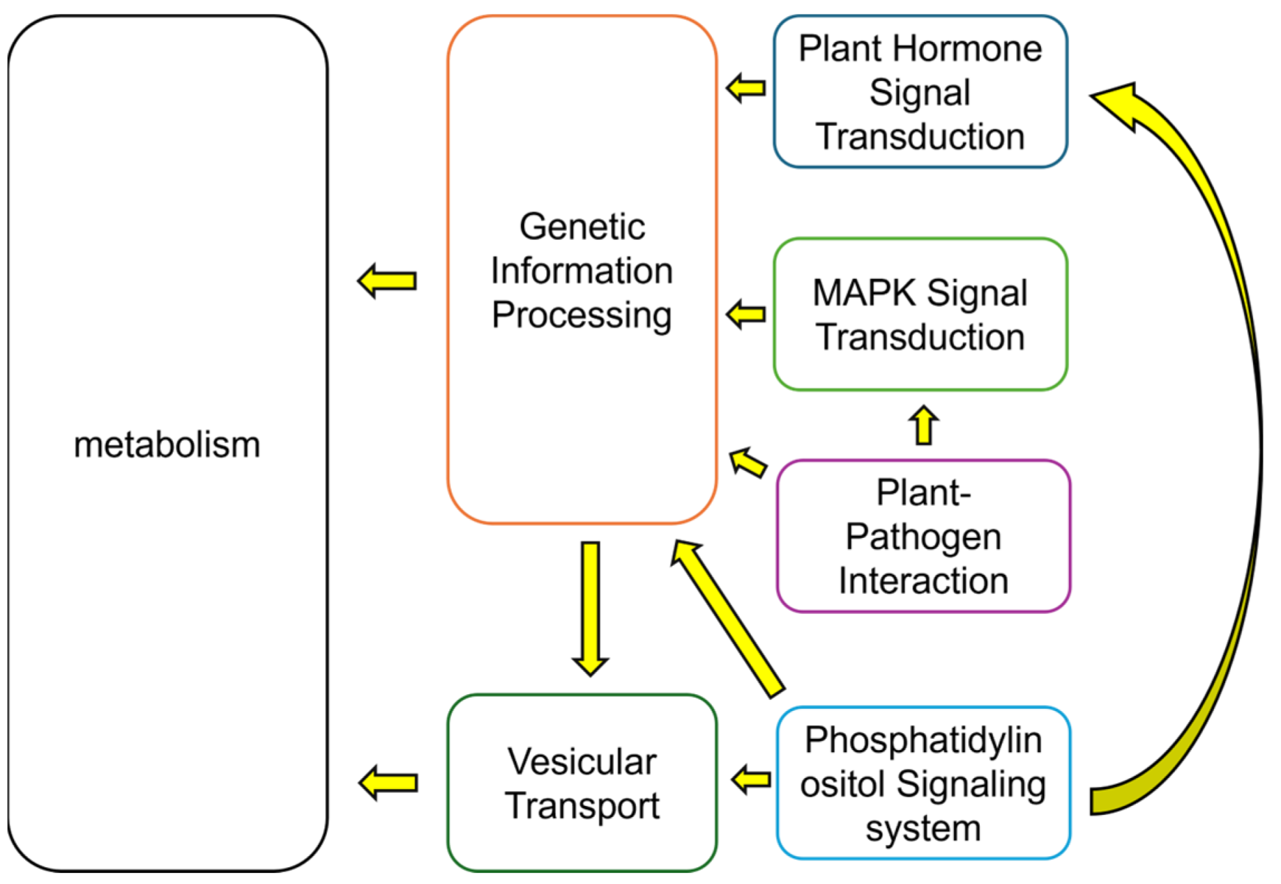 Plants 15 00133 g010