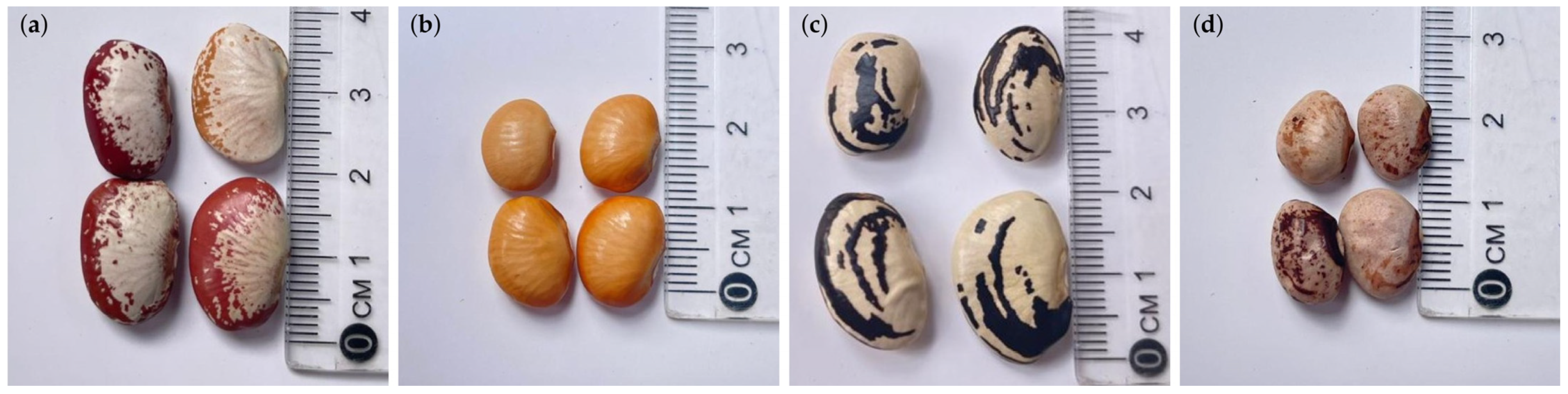 Plants 15 00135 g012 Plants 15 00135 g012