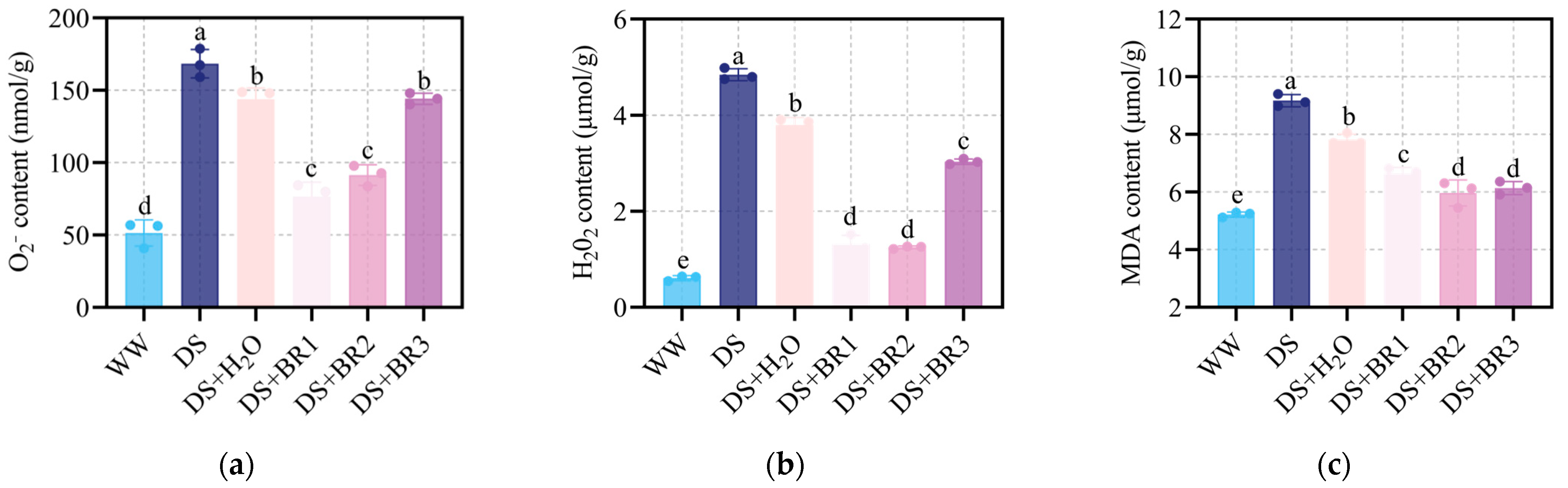 Plants 15 00139 g002