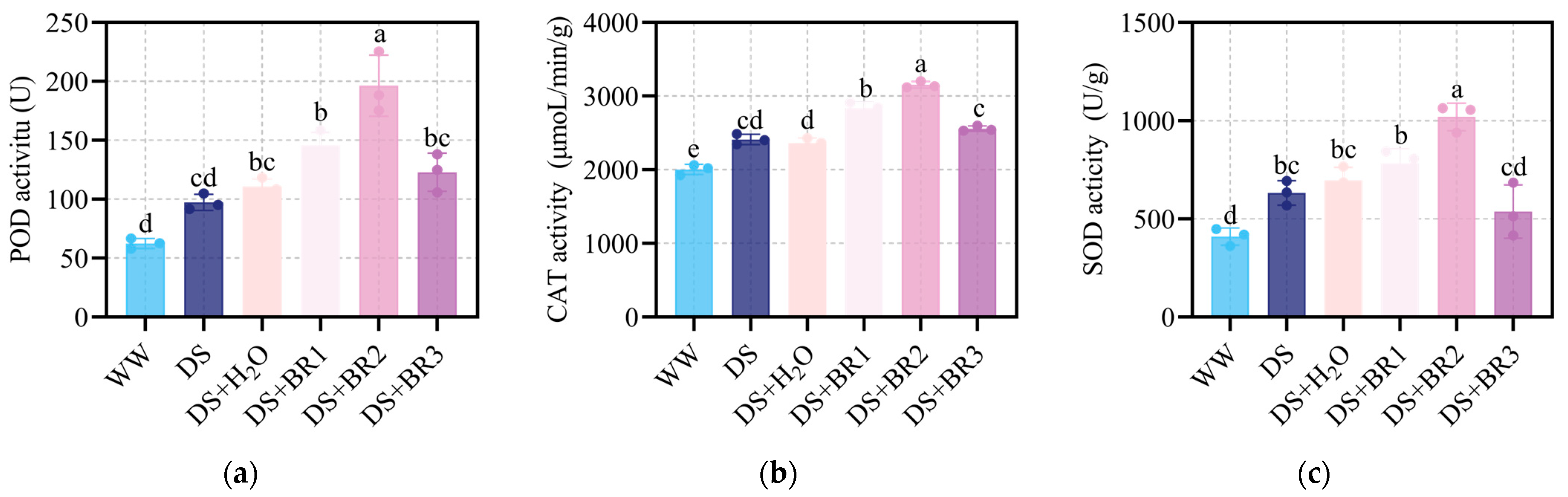 Plants 15 00139 g003