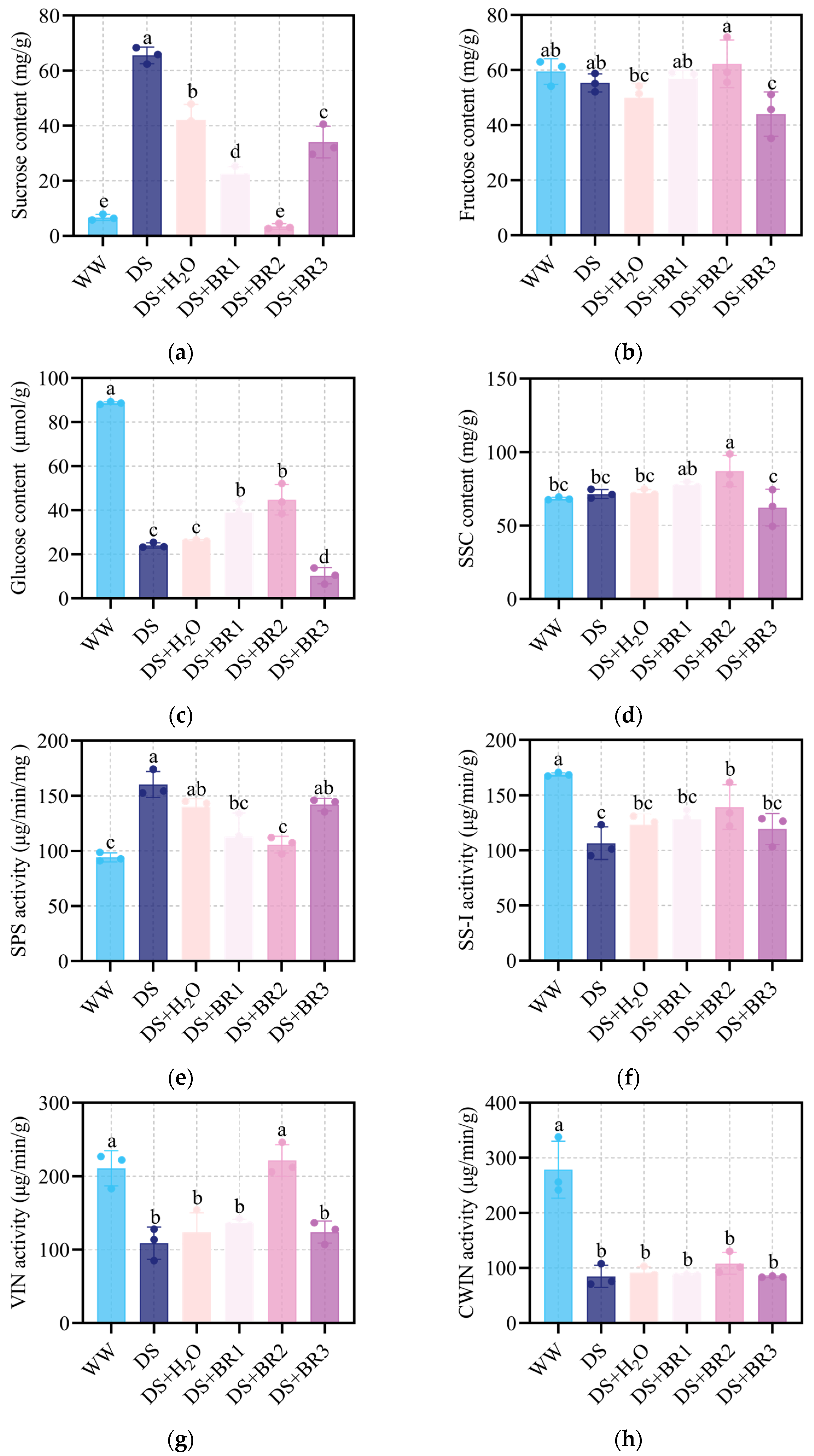 Plants 15 00139 g005