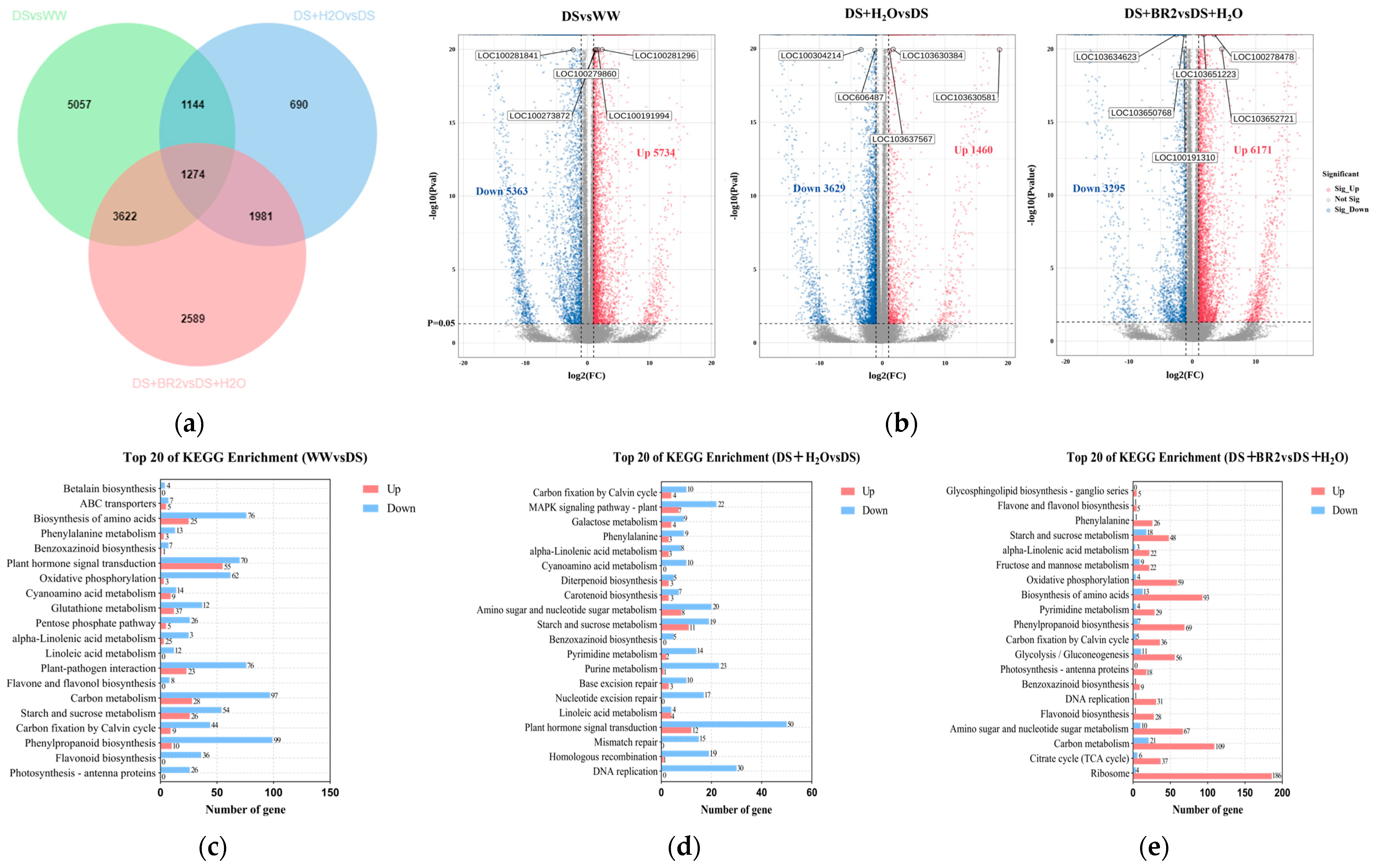 Plants 15 00139 g006