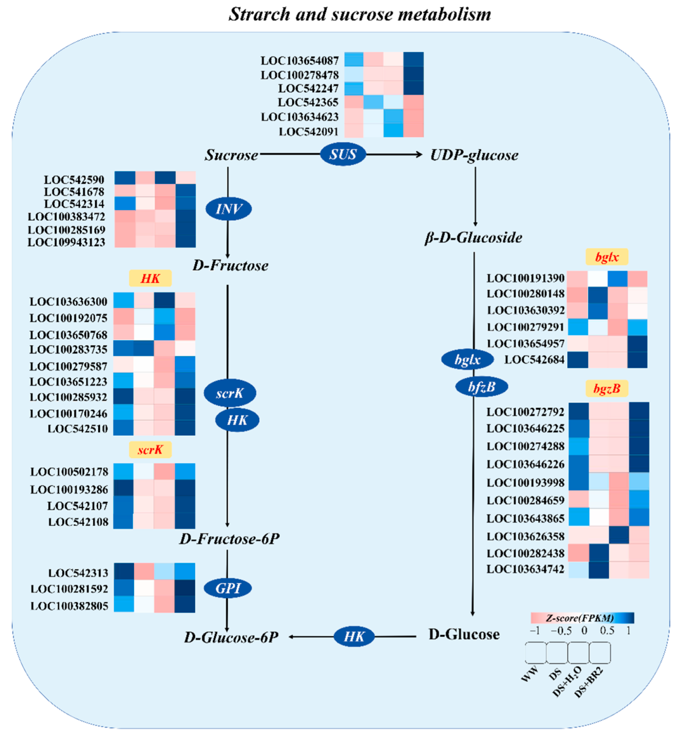 Plants 15 00139 g007